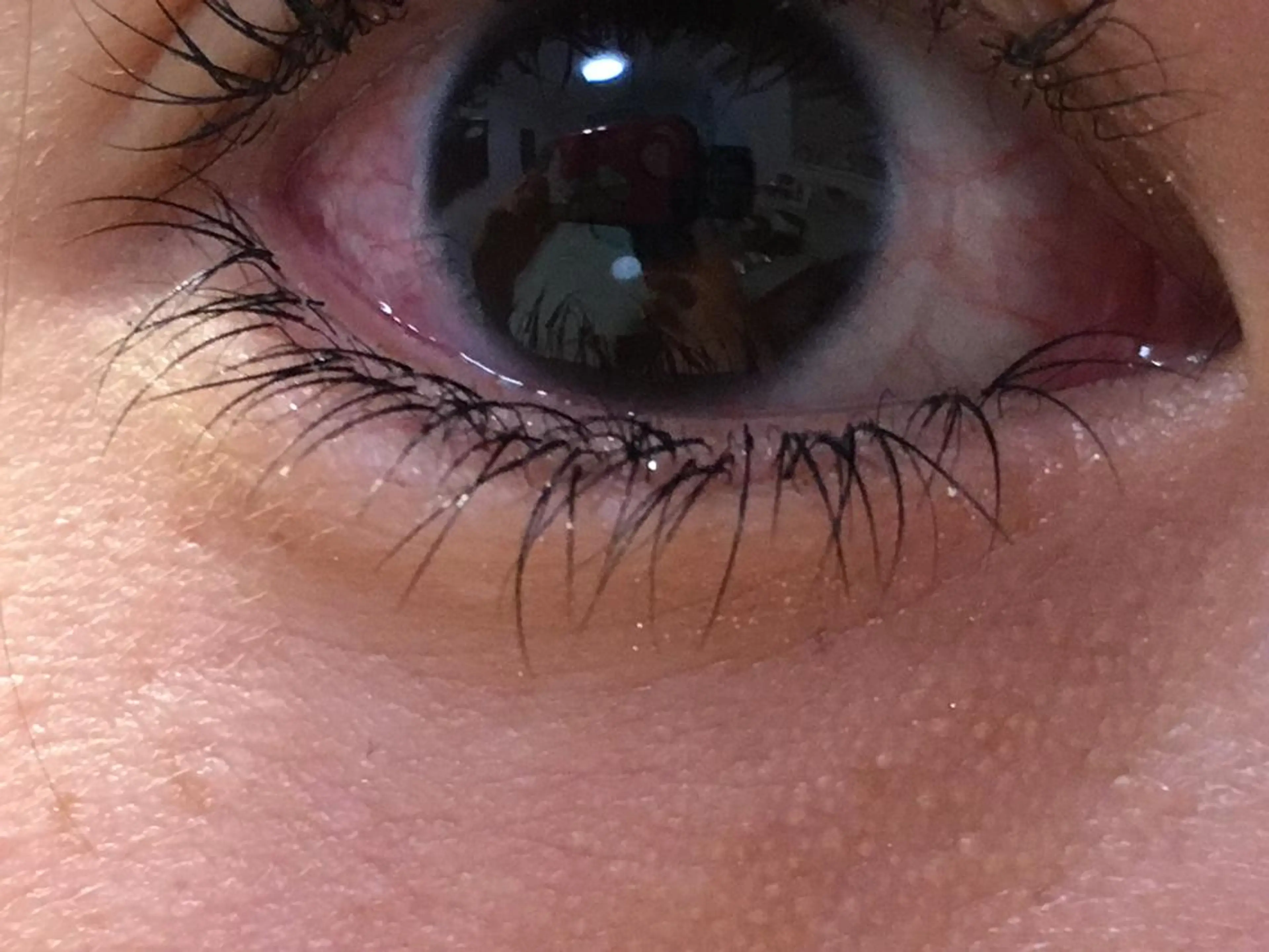 マツエク・マツパ Jカール 下まつげエクステ eyelash＆nail オクタビアス所属・オクタ ビアスのマツエク・マツパデザイン