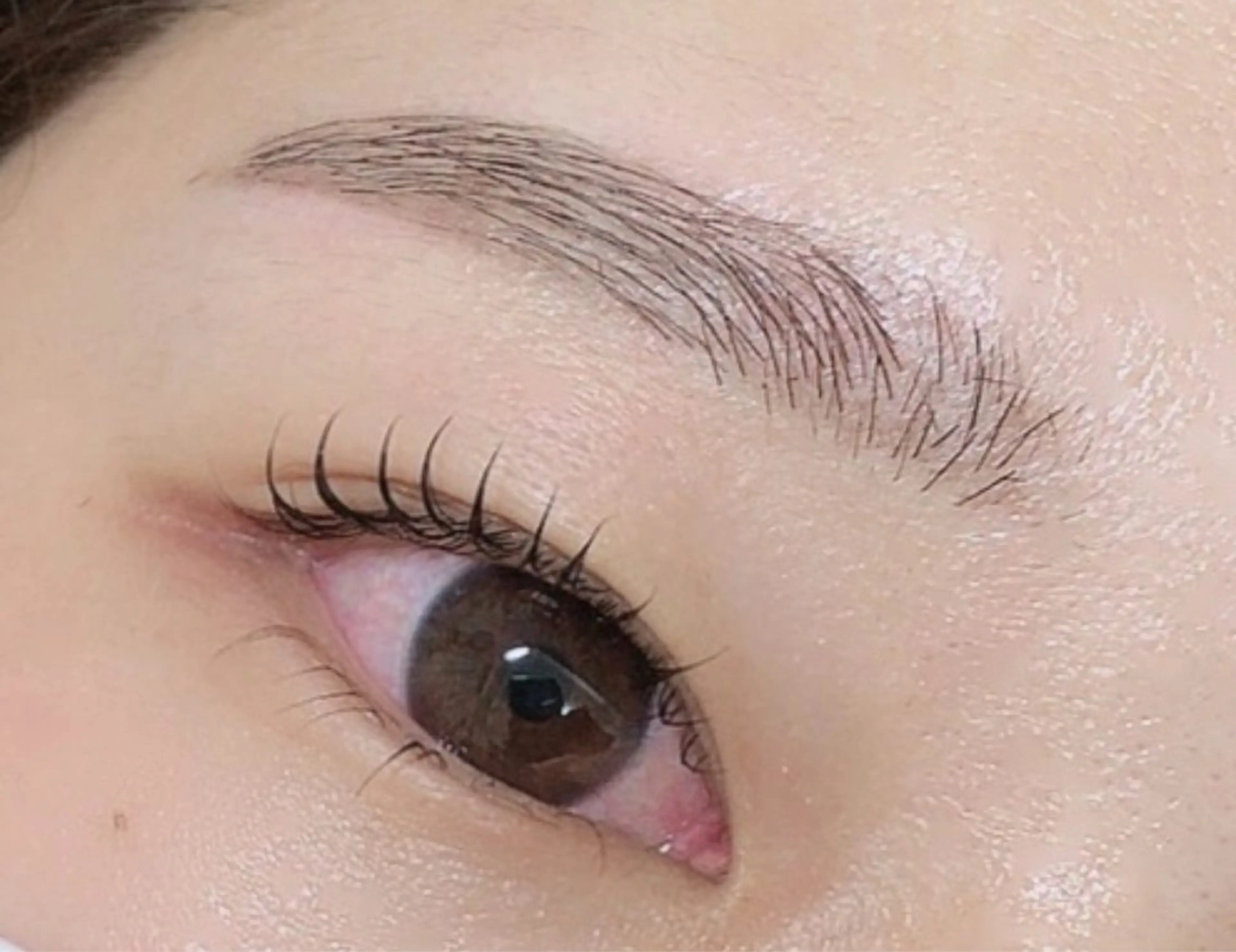 上まつ毛パーマ+美眉スタイリングの写真