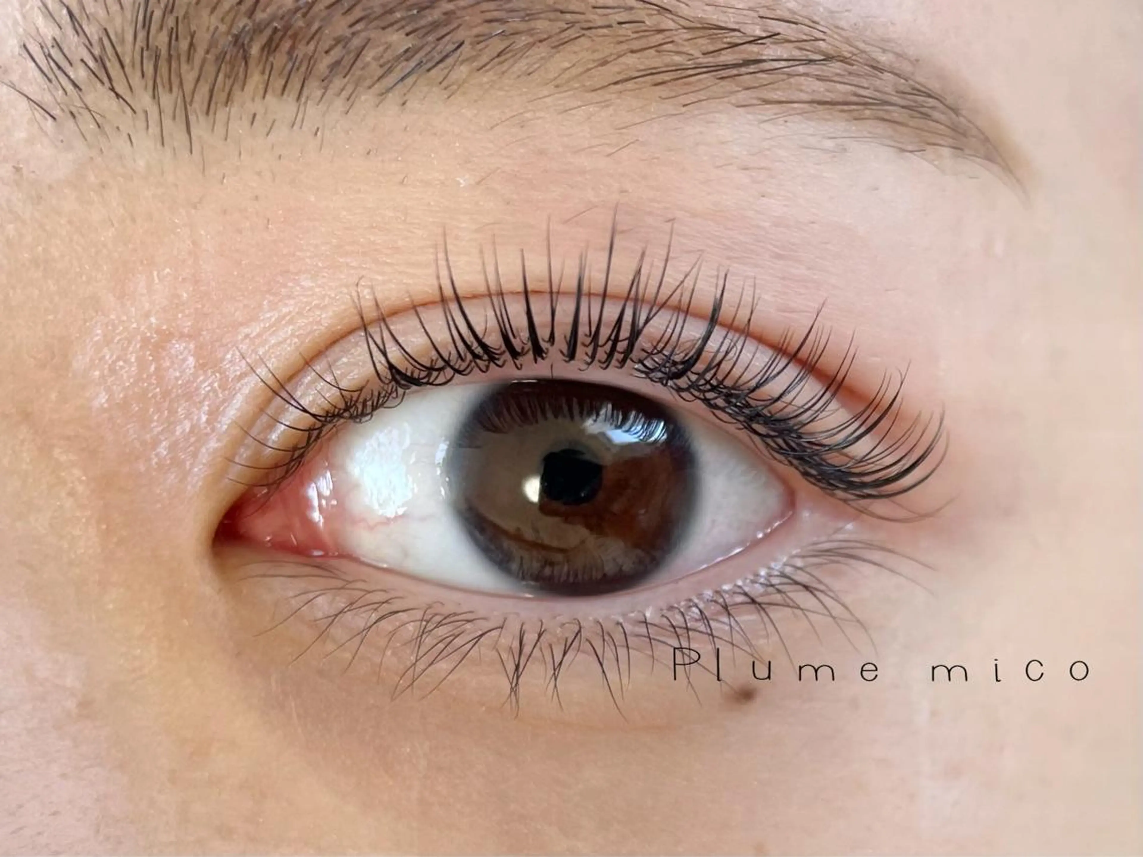 マツエク・マツパ マツパ Plume micoのマツエク・マツパデザイン