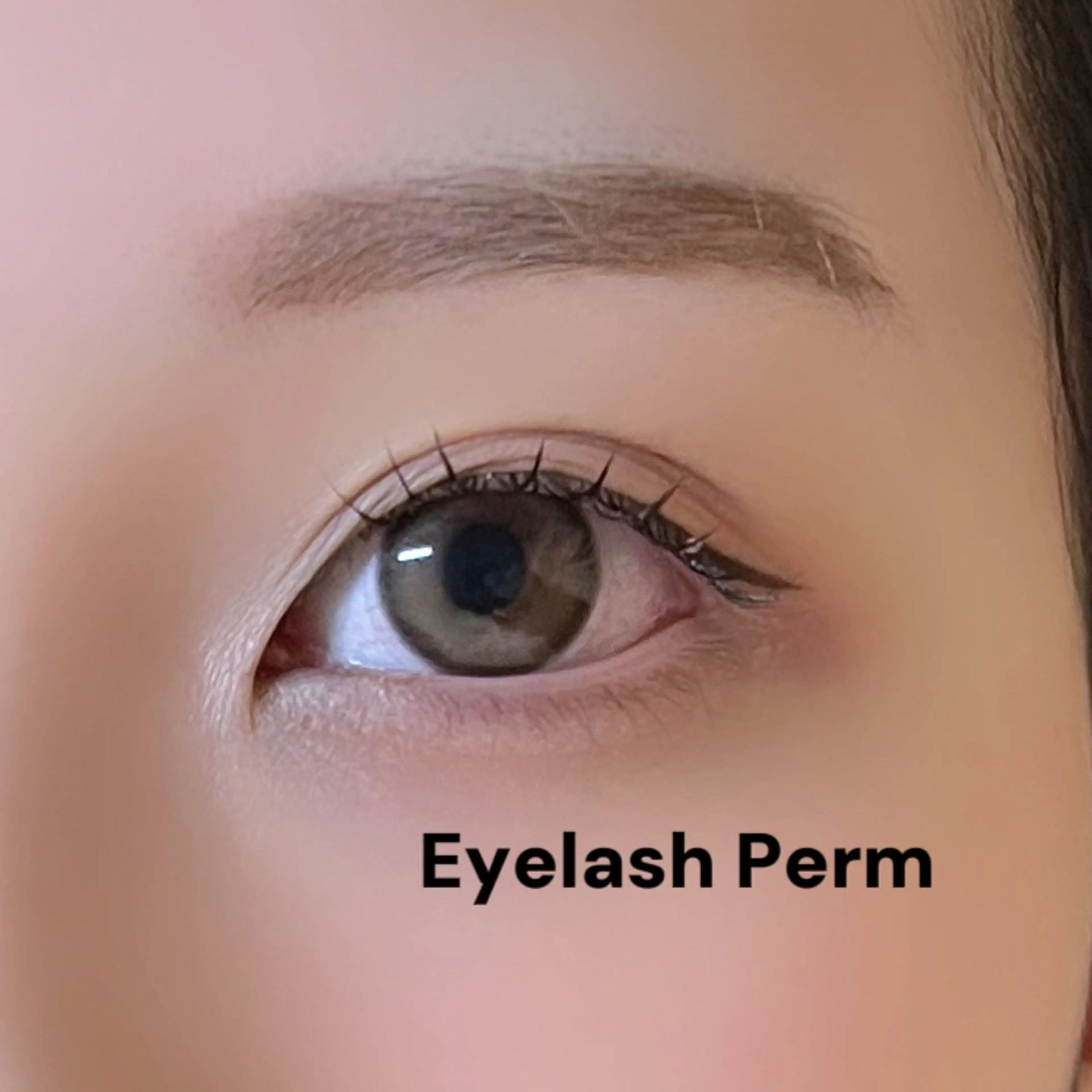 まつげパーマの写真