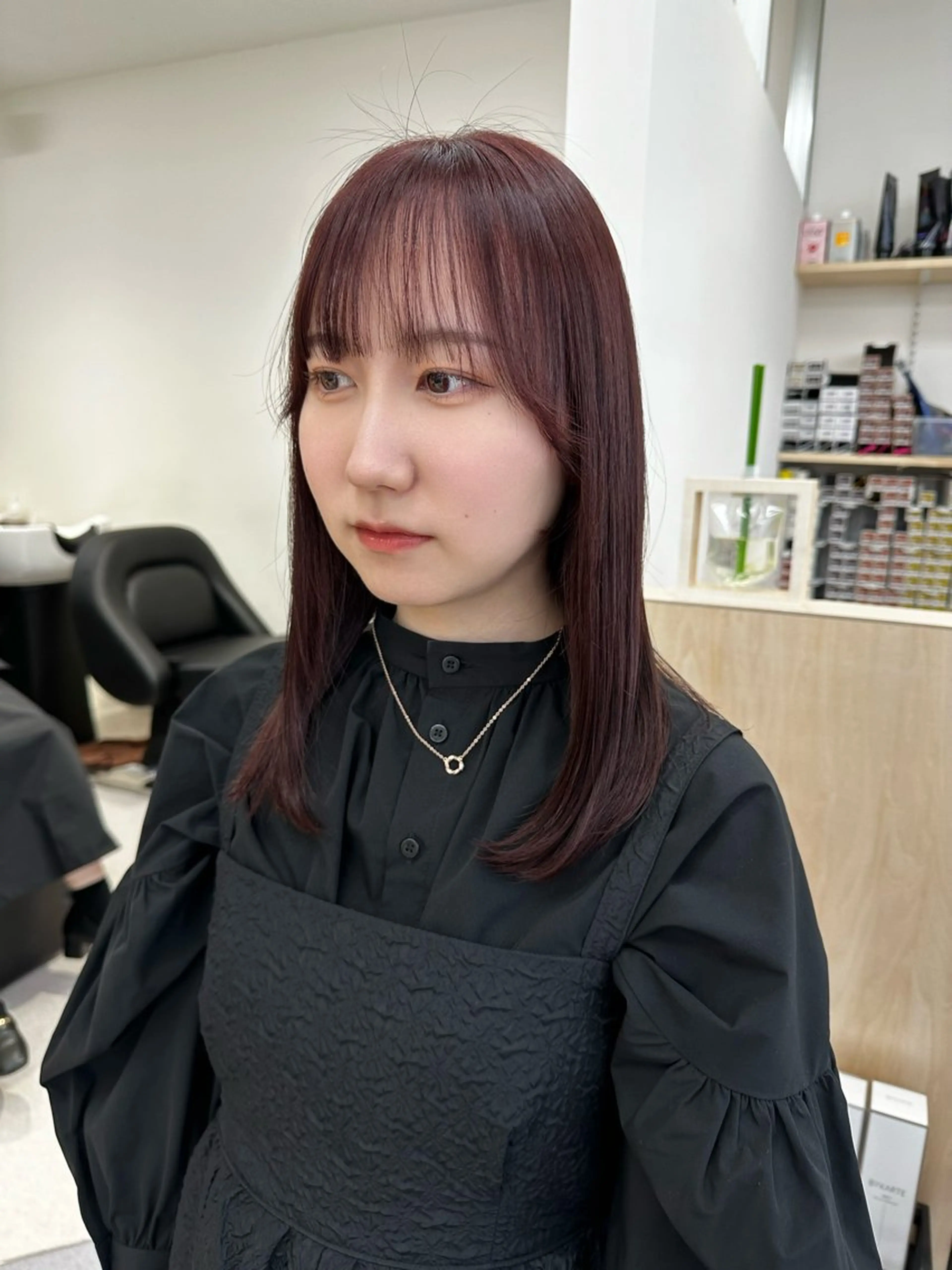 セミロング カラー カット ヘアカラー トリートメント 🪭risa 暖色/レイヤー🪭のヘアスタイル