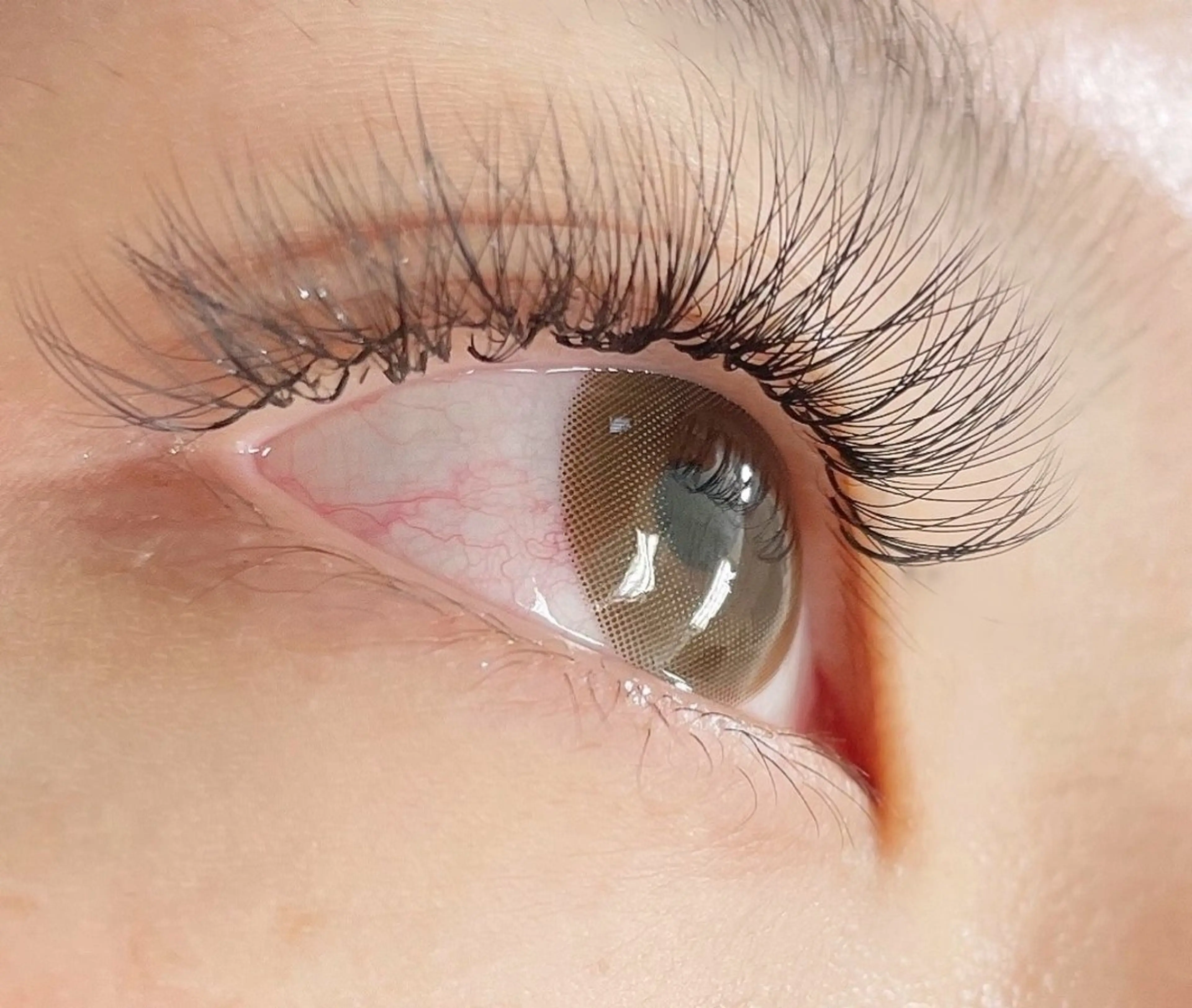 練習モデル☆ボリュームラッシュ300本※補足説明を必ずお読み下さい。の写真