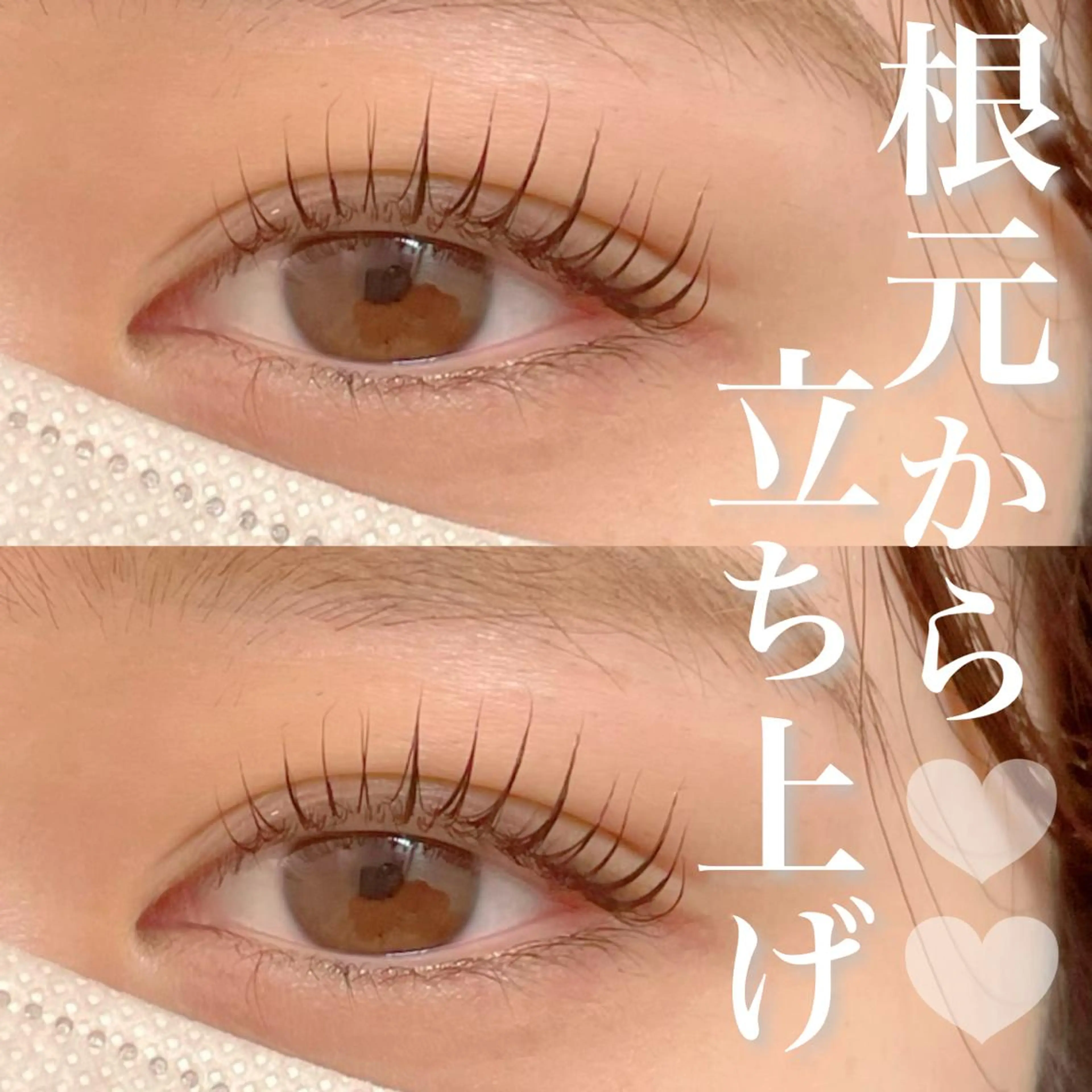 マツエク・マツパ FOXY LASH Miyamotoのマツエク・マツパデザイン