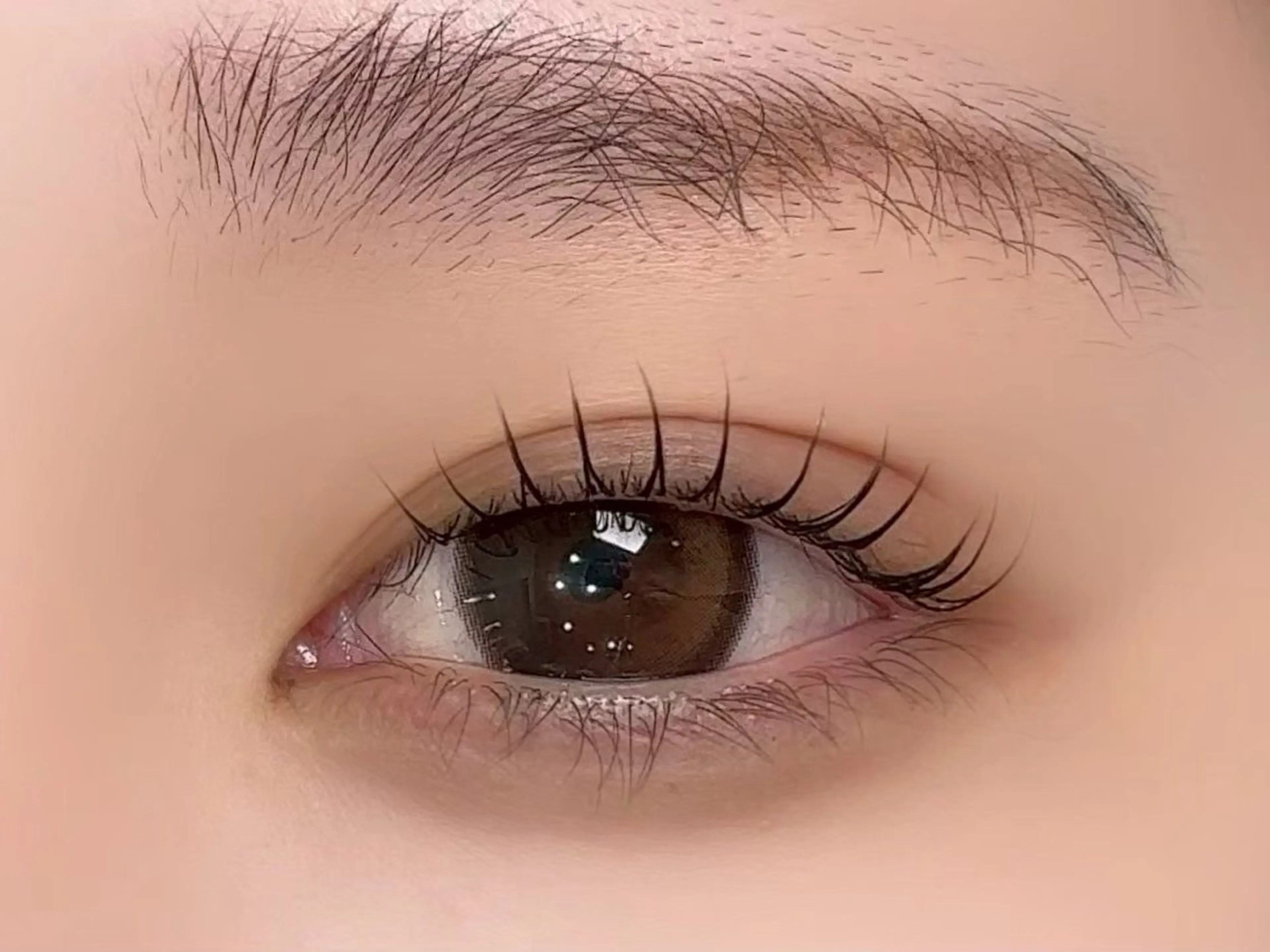 【11月30日14時限定】60分パリジェンヌorまつげパーマ🌼の写真