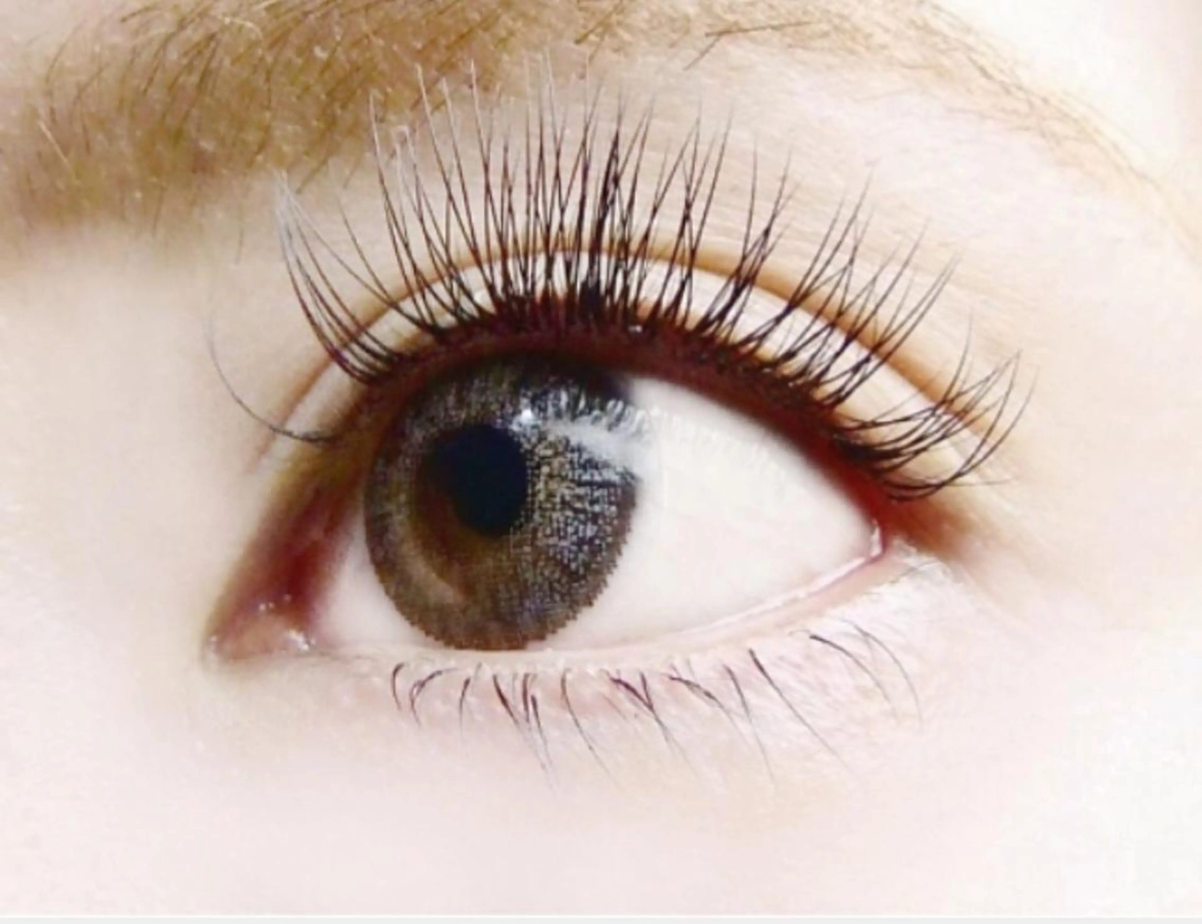 マツエク・マツパ キュート eye&nail salon eclat所属・eclat Saoriのマツエク・マツパデザイン