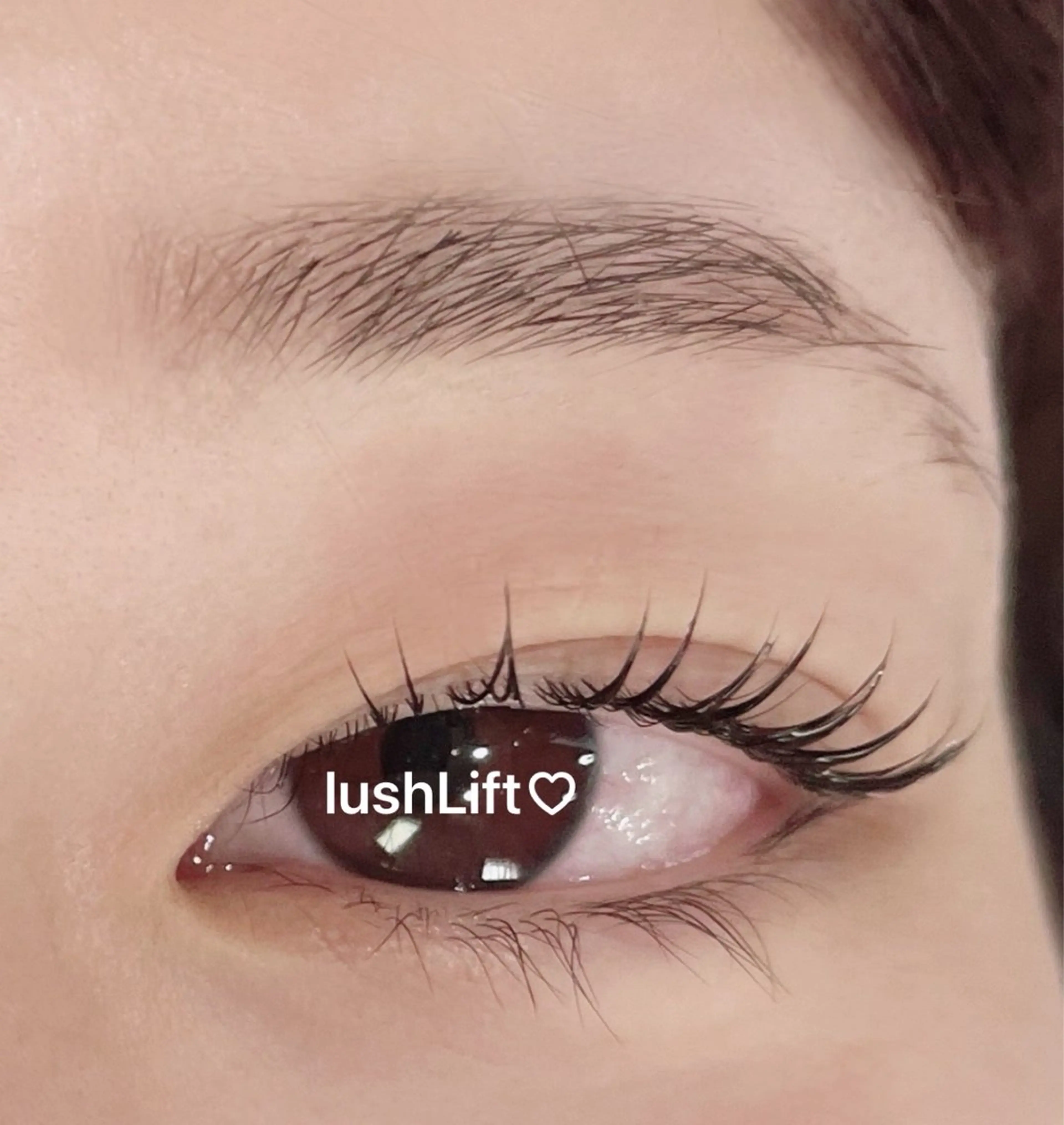 マツエク・マツパ 韓国風マツエク パリジェンヌラッシュリフト 下まつげエクステ 一重×まつ毛パーマ マツパ Rairia momoka🎀✨のマツエク・マツパデザイン