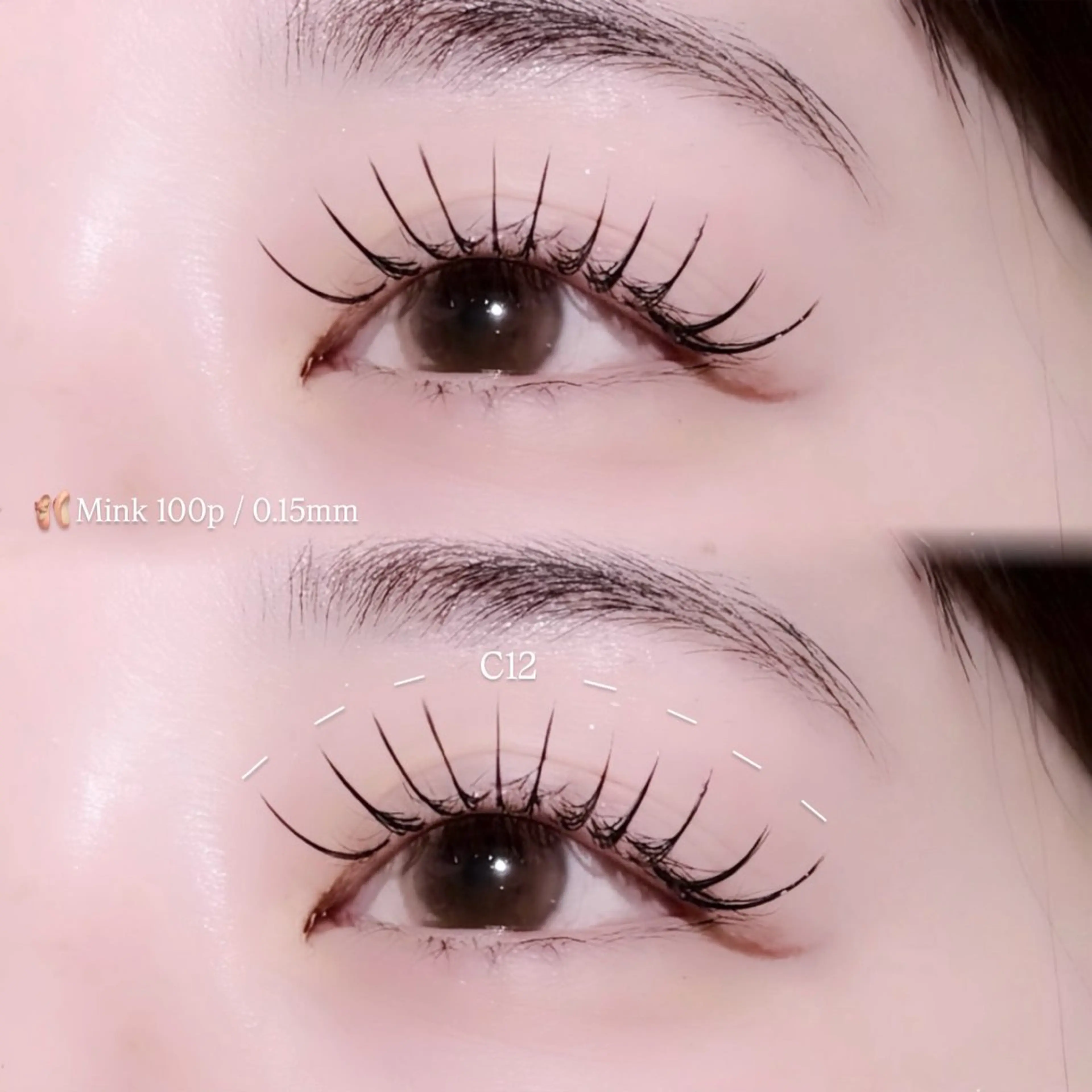 【🩰ミンク100本】の写真