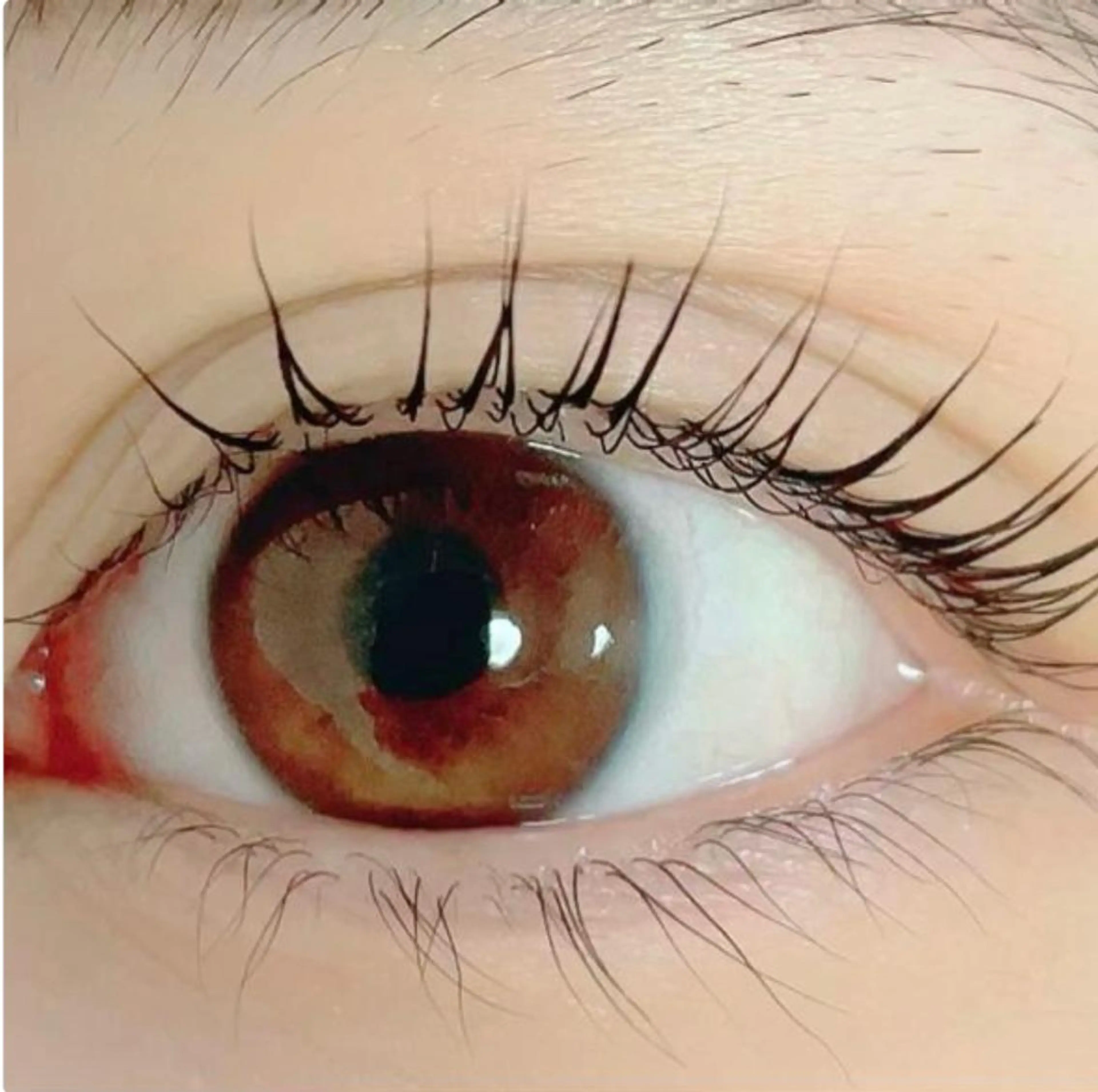 マツエク・マツパ 🌸Leviju桂店 店長Saki🌸のヘアスタイル