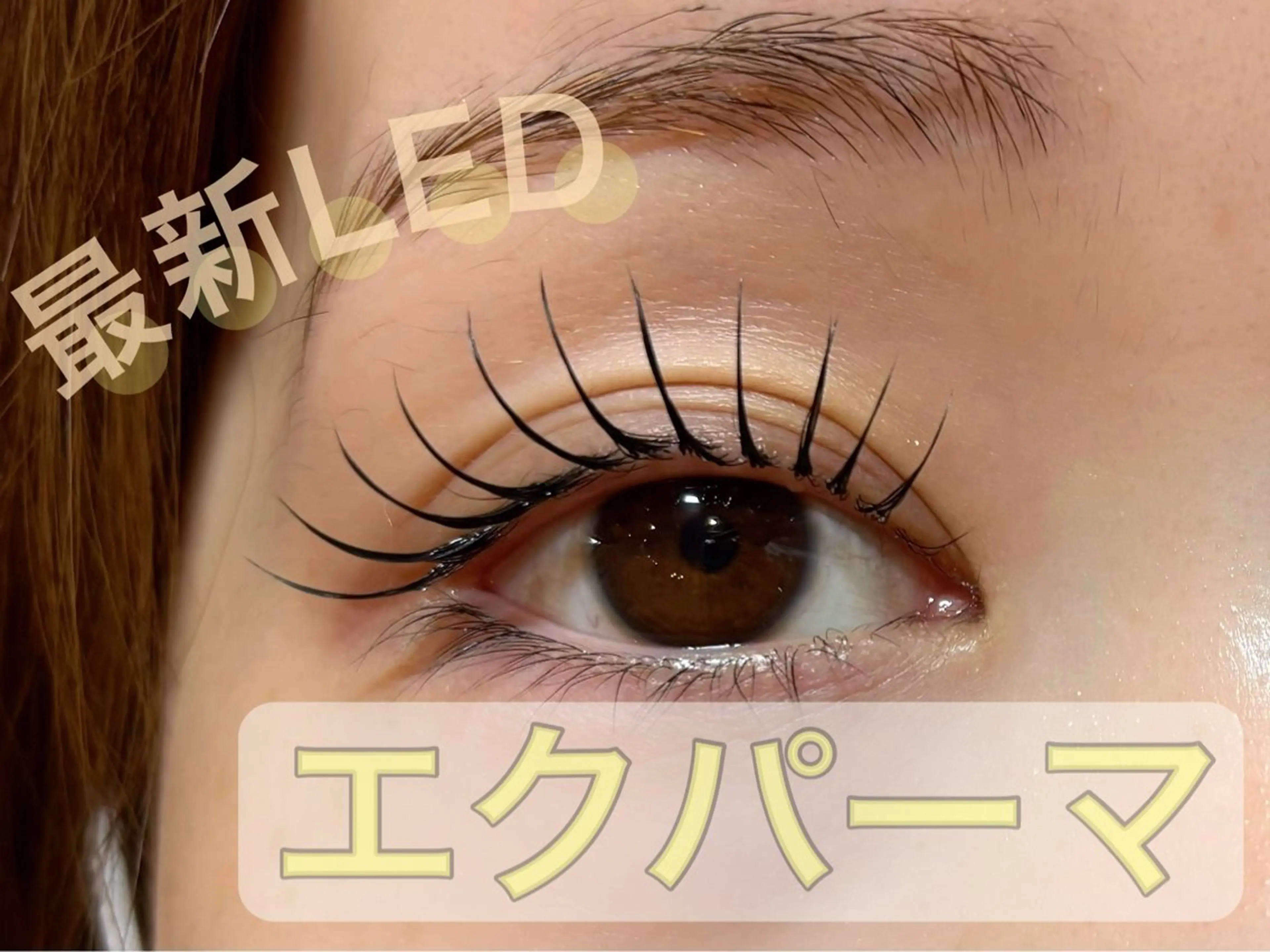【パリエクorエクパーマ🫧】パリジェンヌ(ラッシュリフト)✖️LEDエクステ80​〜​100本アイシャンプー込み🫧の写真