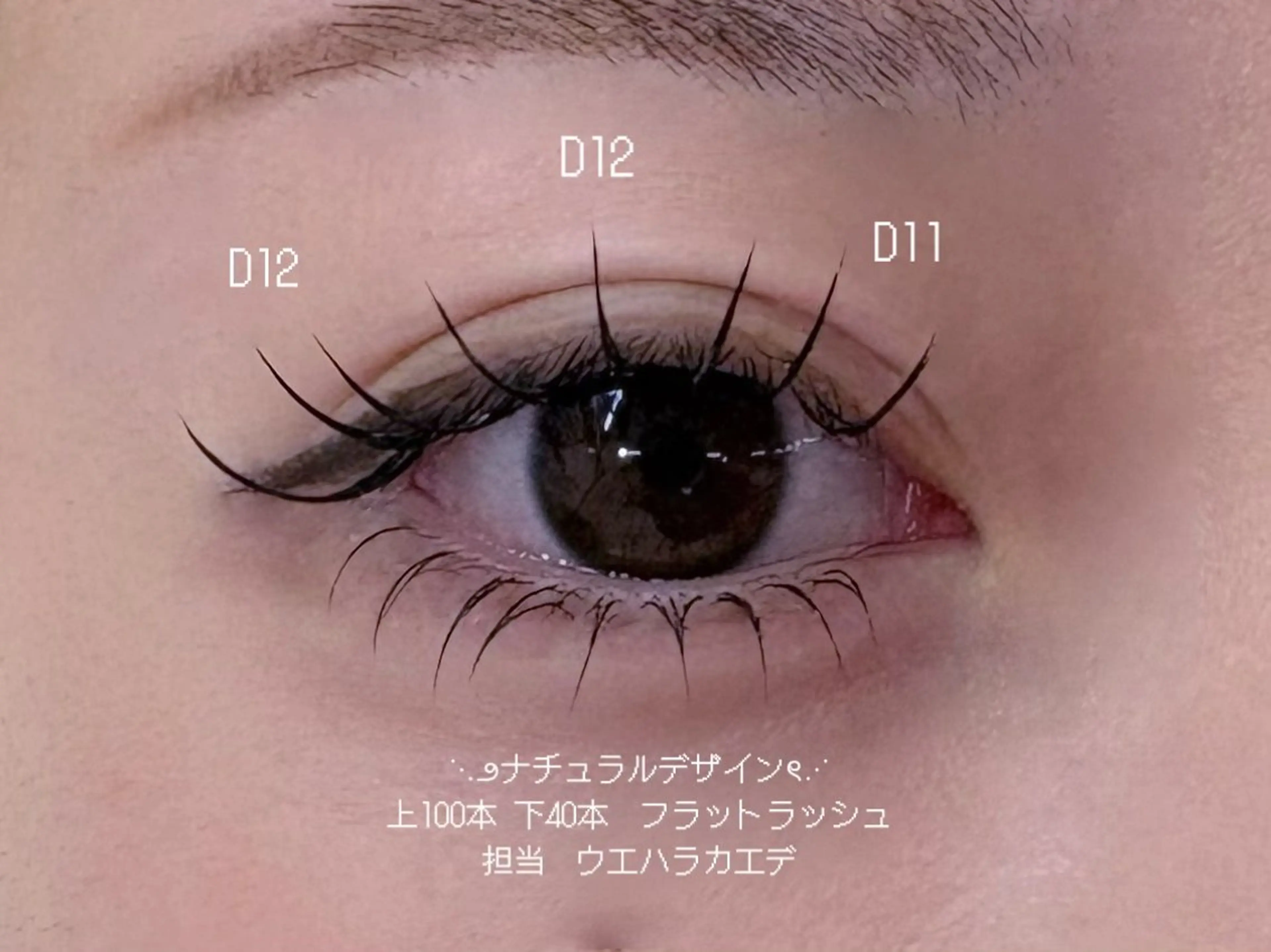 マツエク・マツパ Dカール 下まつげエクステ WOLTOKYO ウエハラ　カエデのマツエク・マツパデザイン