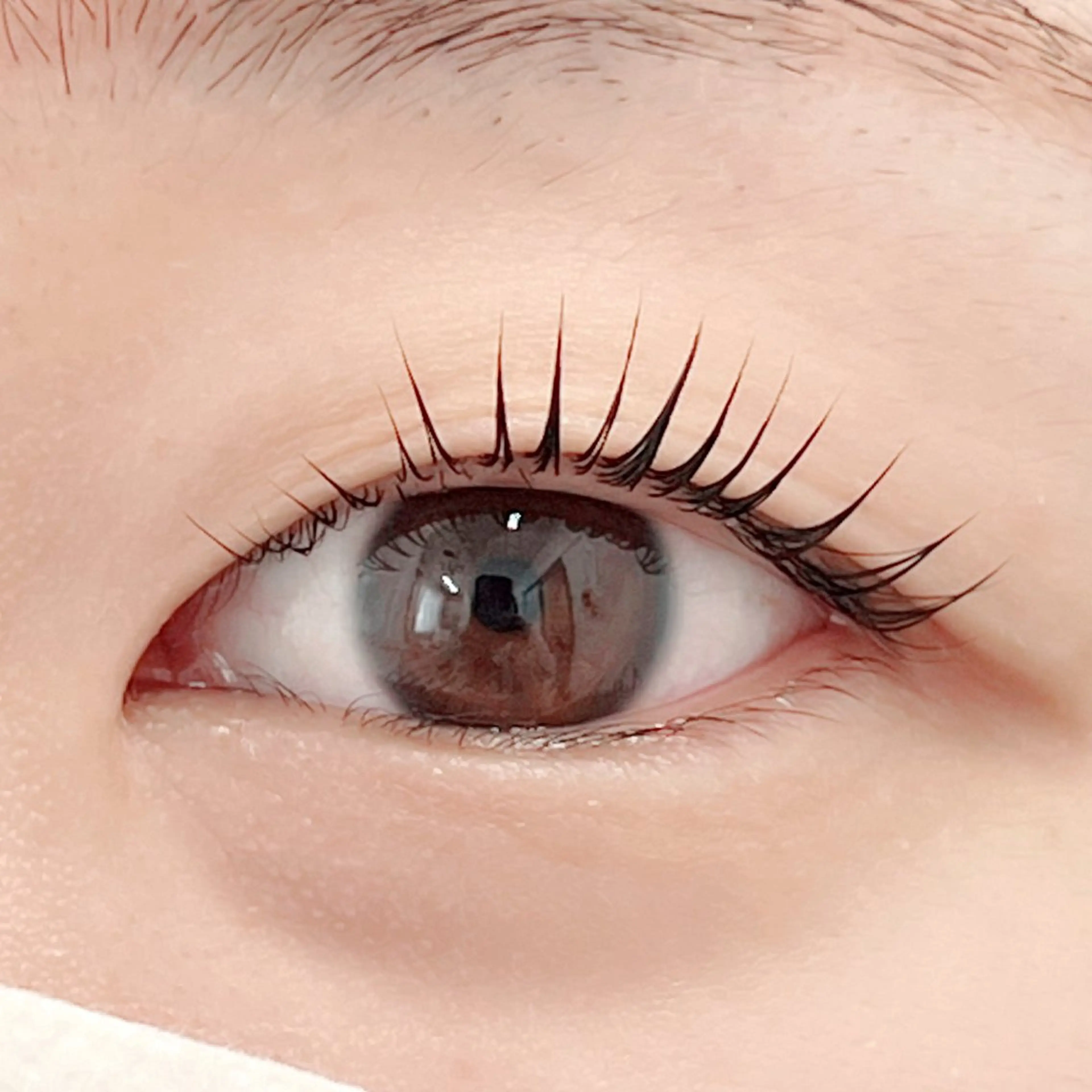 マツエク・マツパ マツパ 田村 莉子のマツエク・マツパデザイン