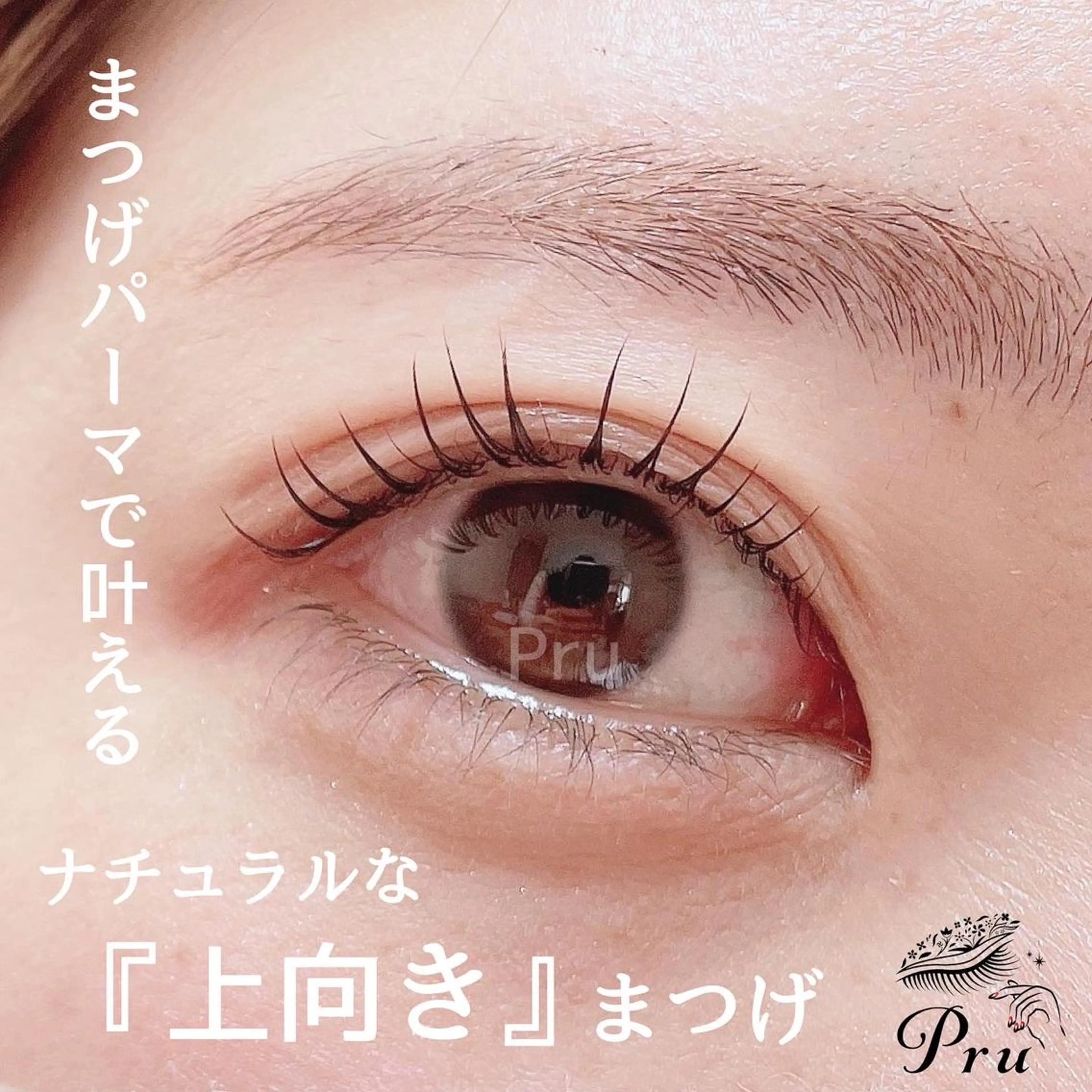マツエク・マツパ ナチュラル まつげパーマ マツパ プル eyelashのマツエク・マツパデザイン