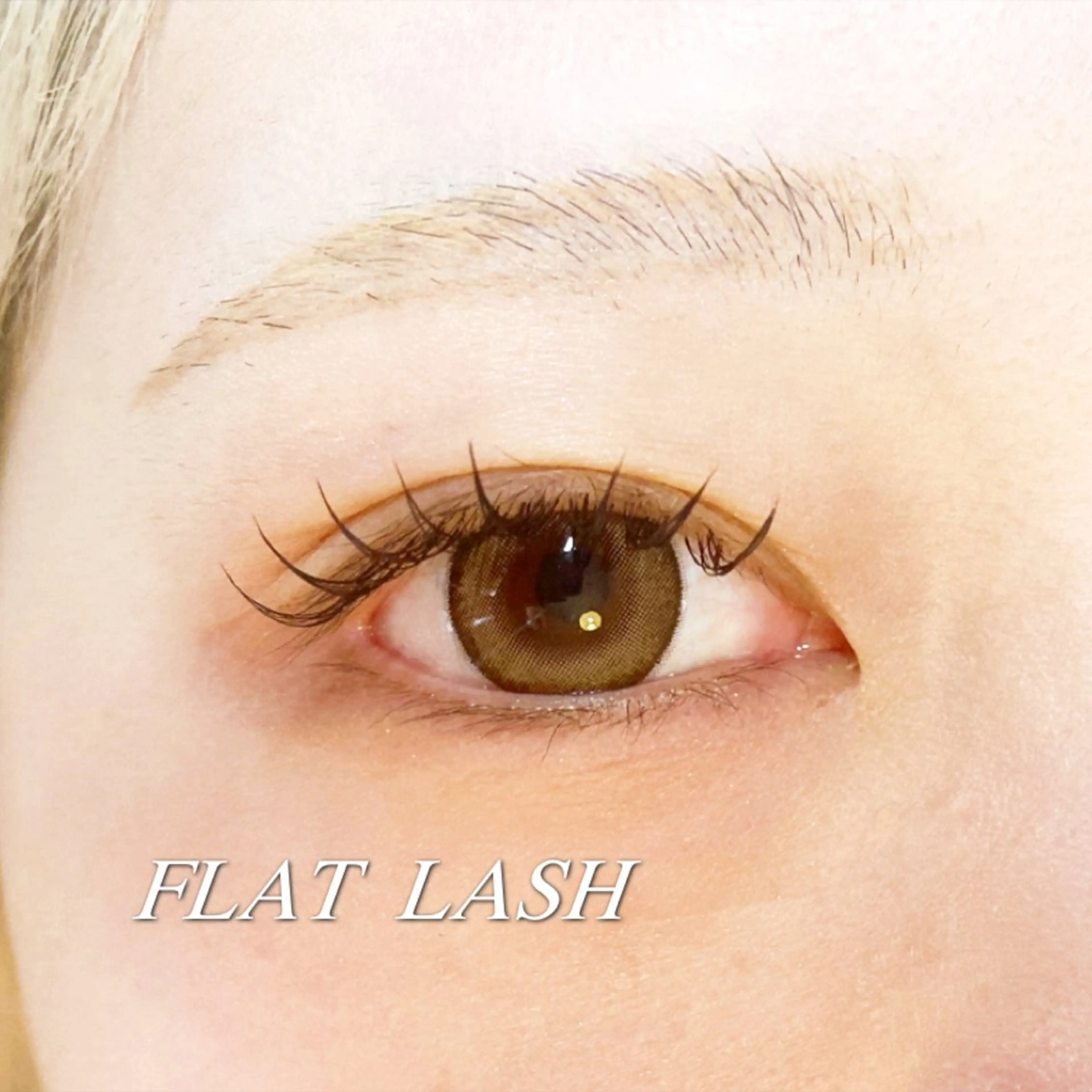 マツエク・マツパ フラットラッシュ マツエク UON【ウオン】所属・まつげとまゆげ UON《ウオン》のマツエク・マツパデザイン