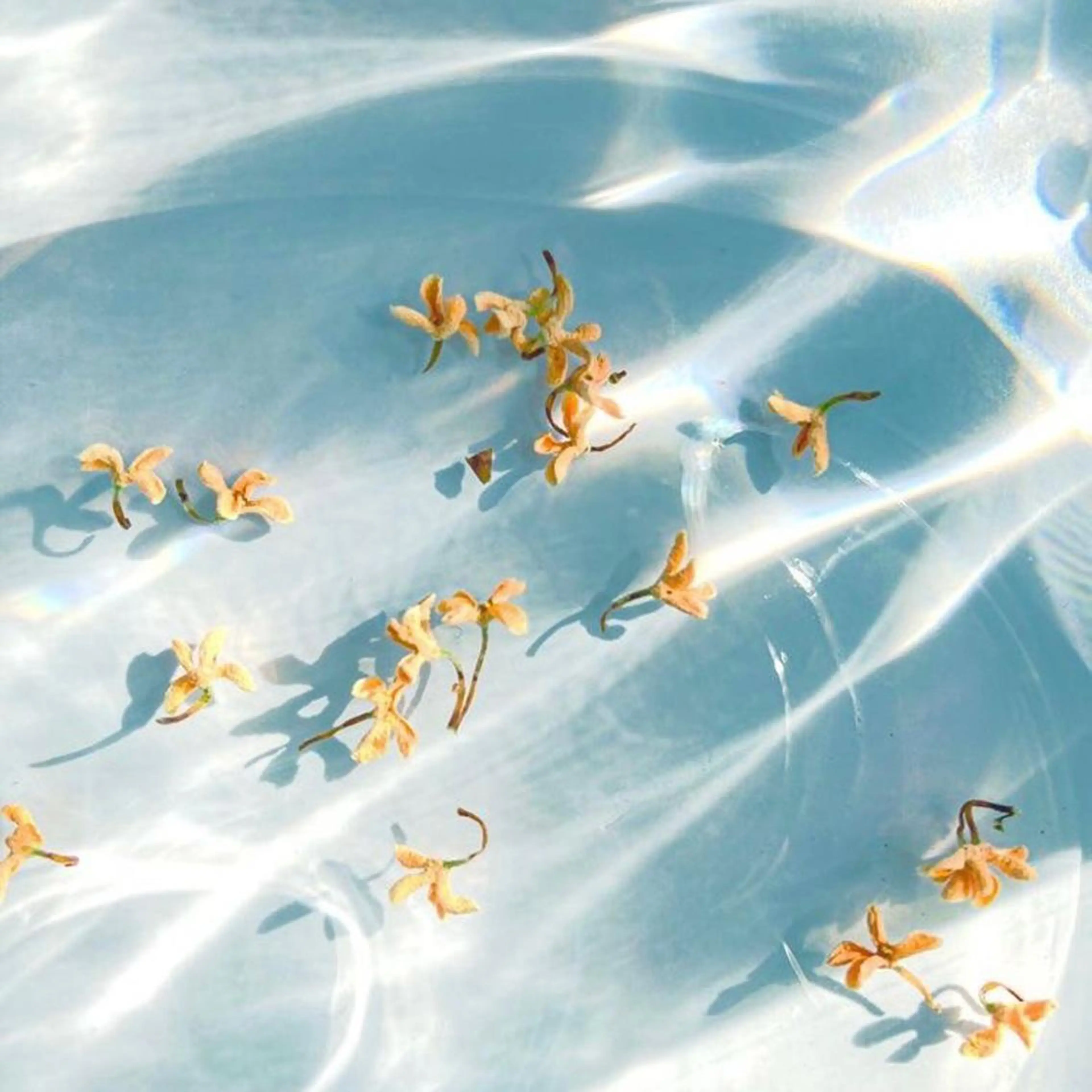 Lino kahili Eyelash&Nail 【リノカヒリ アイラッシュ&ネイル】所属・🐬Lino🫧 吉田 優花のマツエク・マツパデザイン