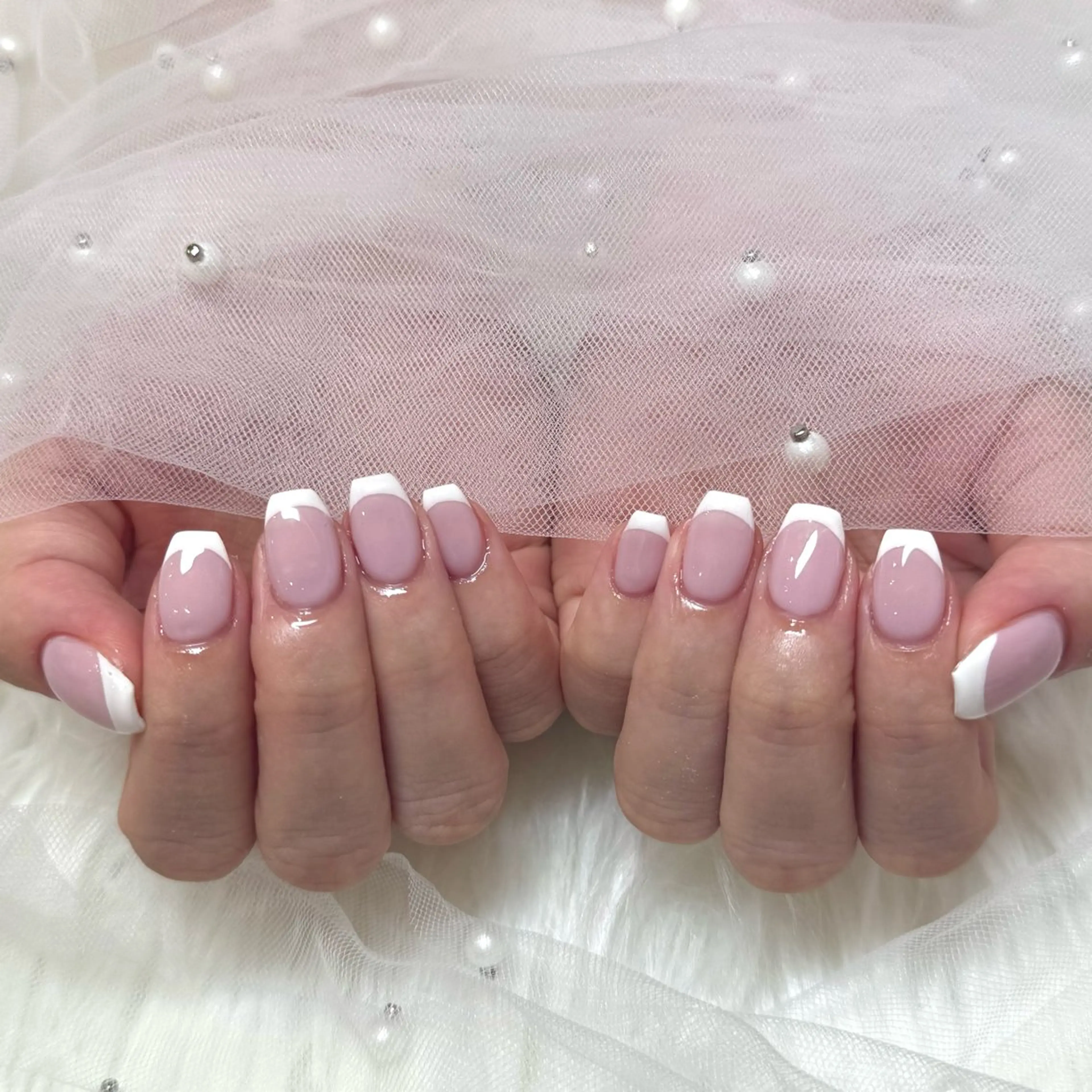 白フレンチ【オフ有り】の写真
