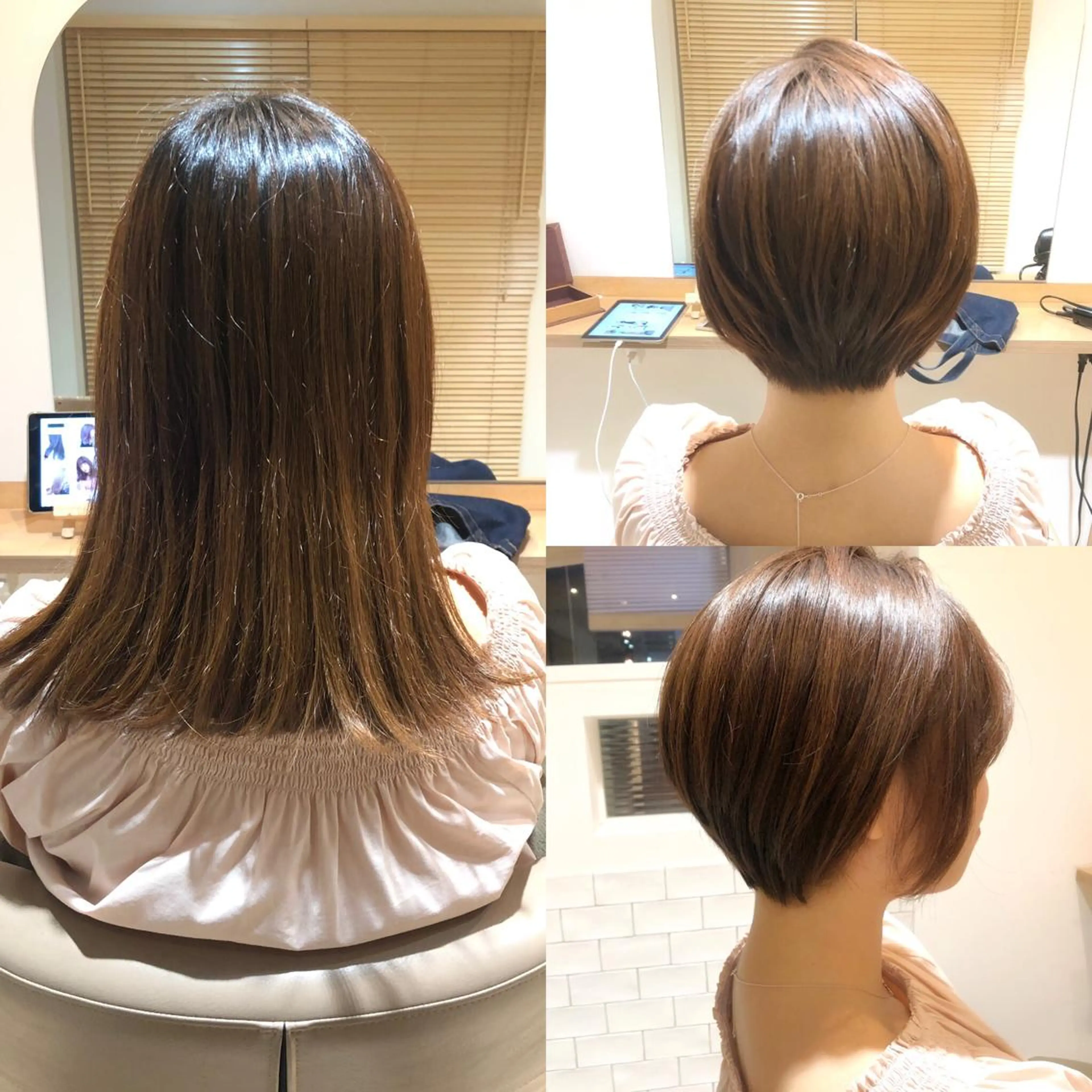 ショート カラー 🌈人気No. 1 🌈大嶋淑寛のヘアスタイル