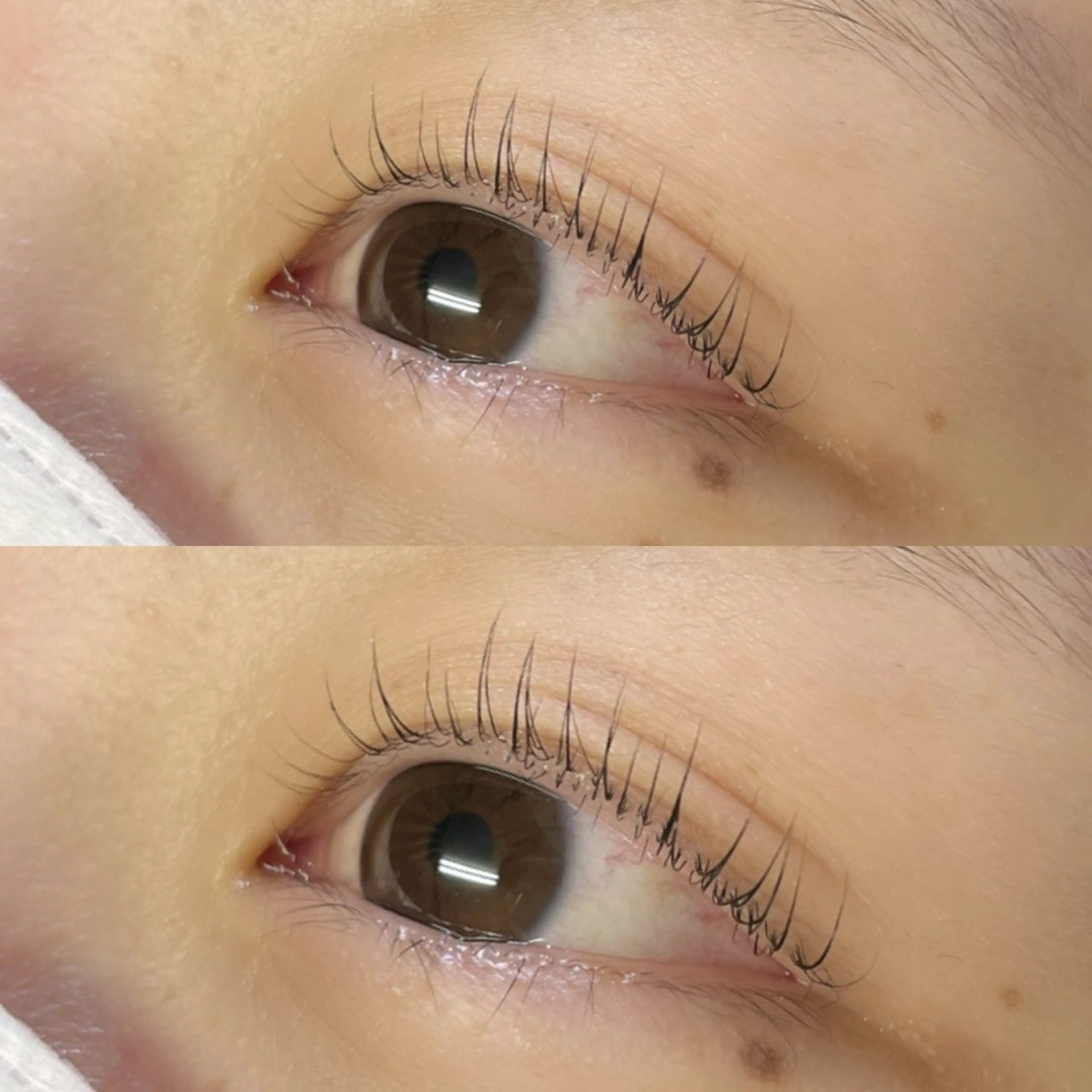 マツエク・マツパ マツパ リフュージュ　隠れ家所属・リフュージュ🌷 カホのマツエク・マツパデザイン