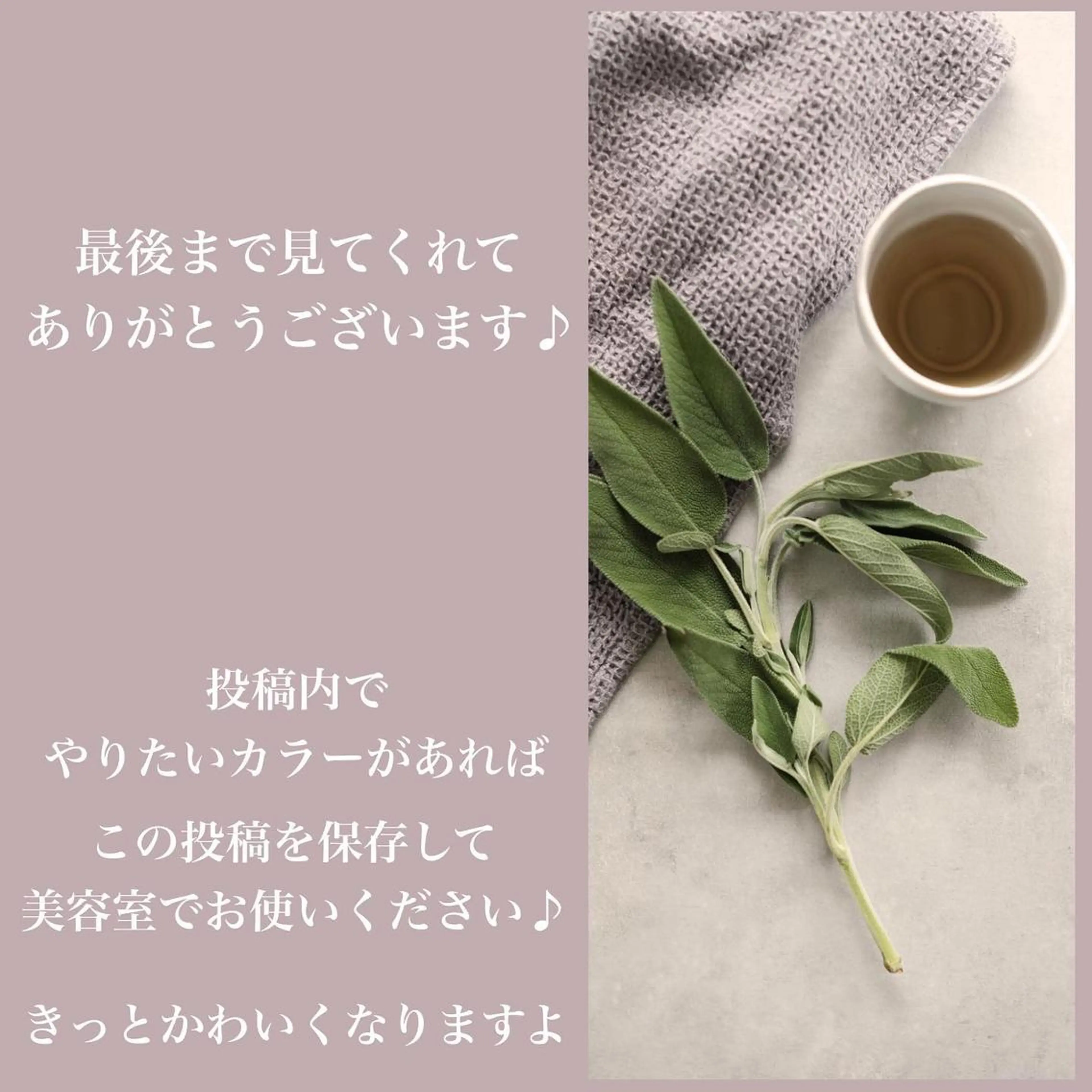 カラー ベージュカラー ブリーチ ブラウンカラー ショコラグレージュ ココアブラウン 艶髪レイヤー屋さん 大澤竜馬のヘアスタイル