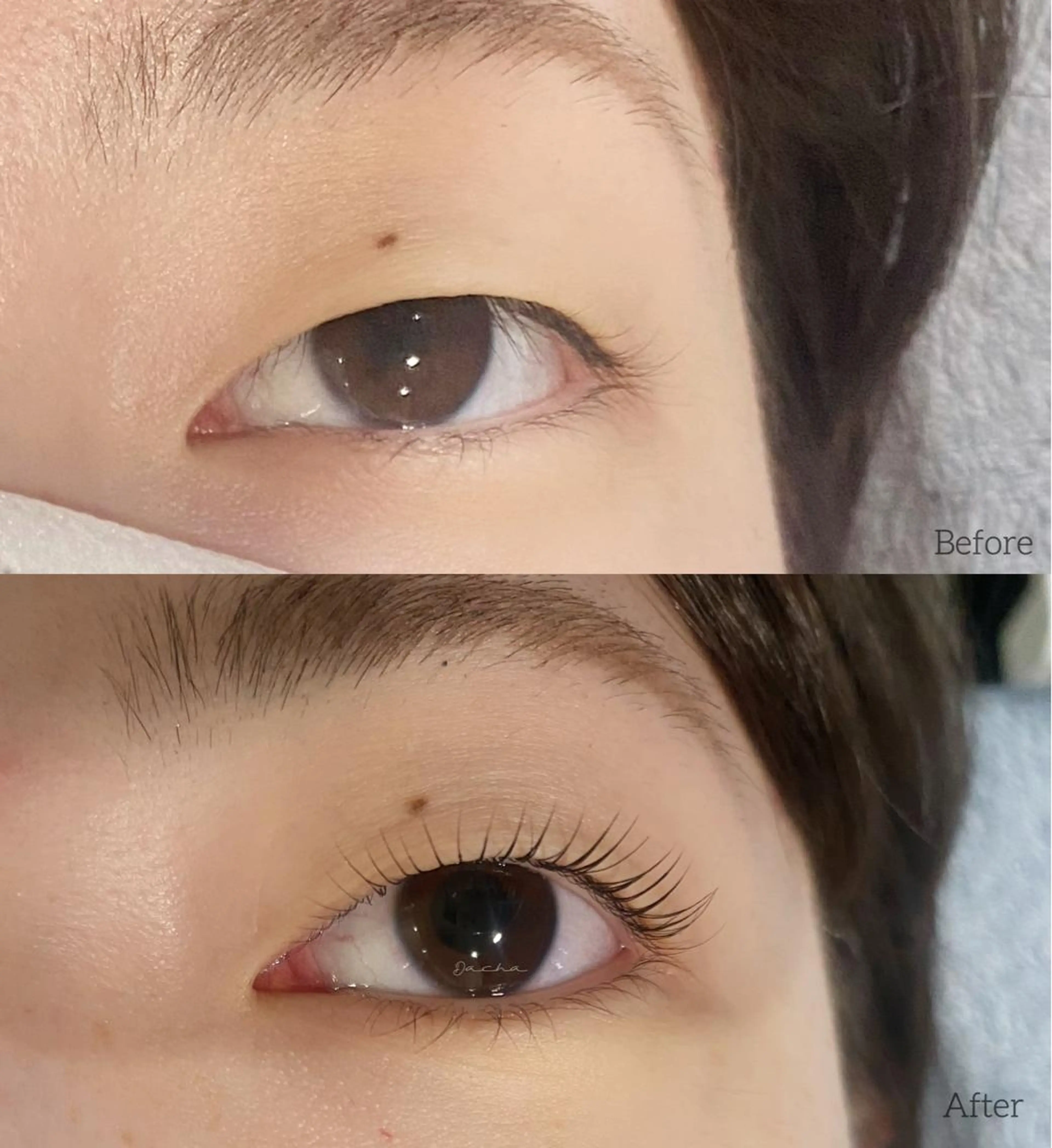 マツエク・マツパ 一重×まつ毛パーマ Dacha傷めない 大人のまつ毛屋さんの眉毛・アイブロウイメージ