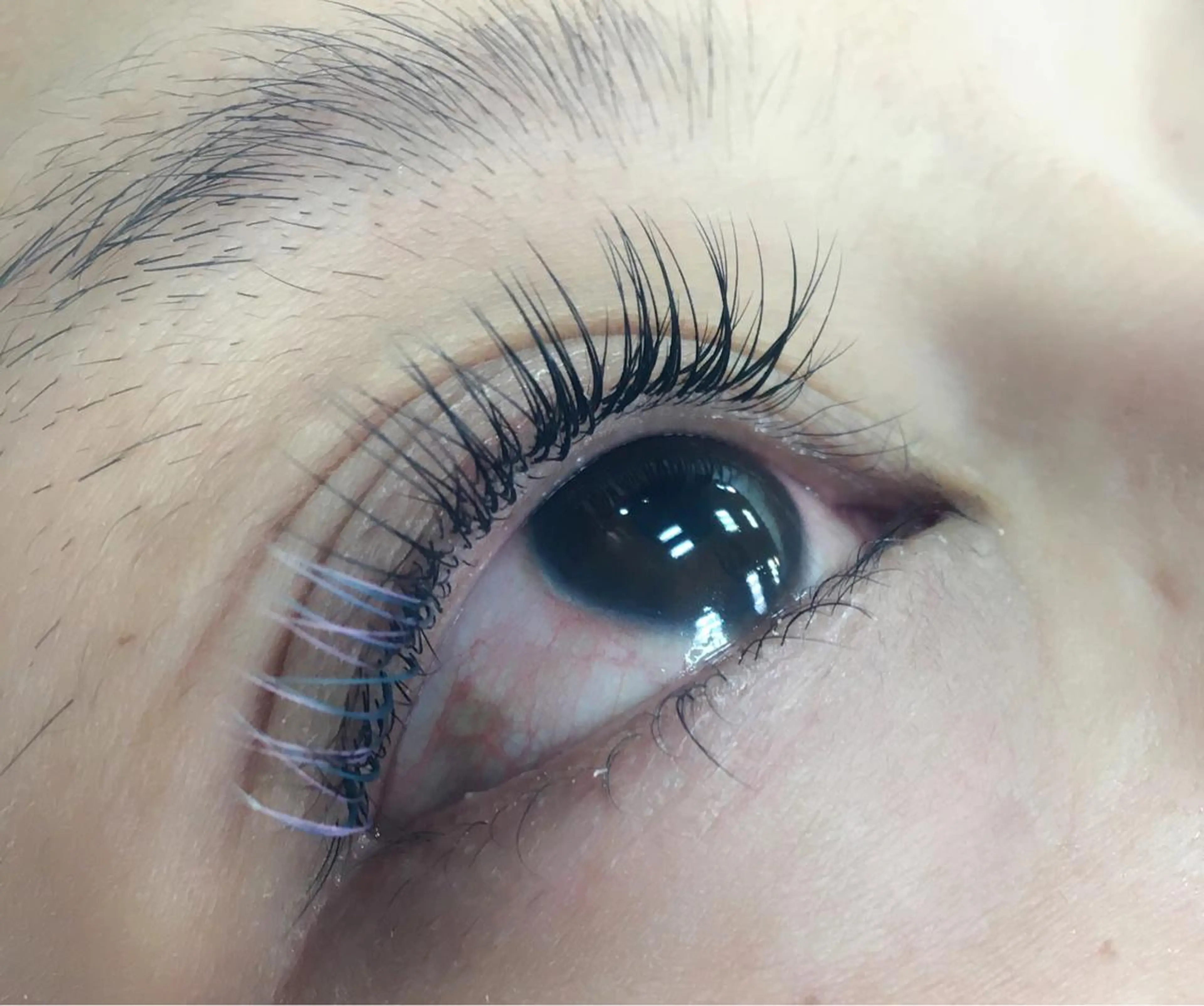 マツエク・マツパ K.Rise nail＆eye所属・sawada seinaのマツエク・マツパデザイン