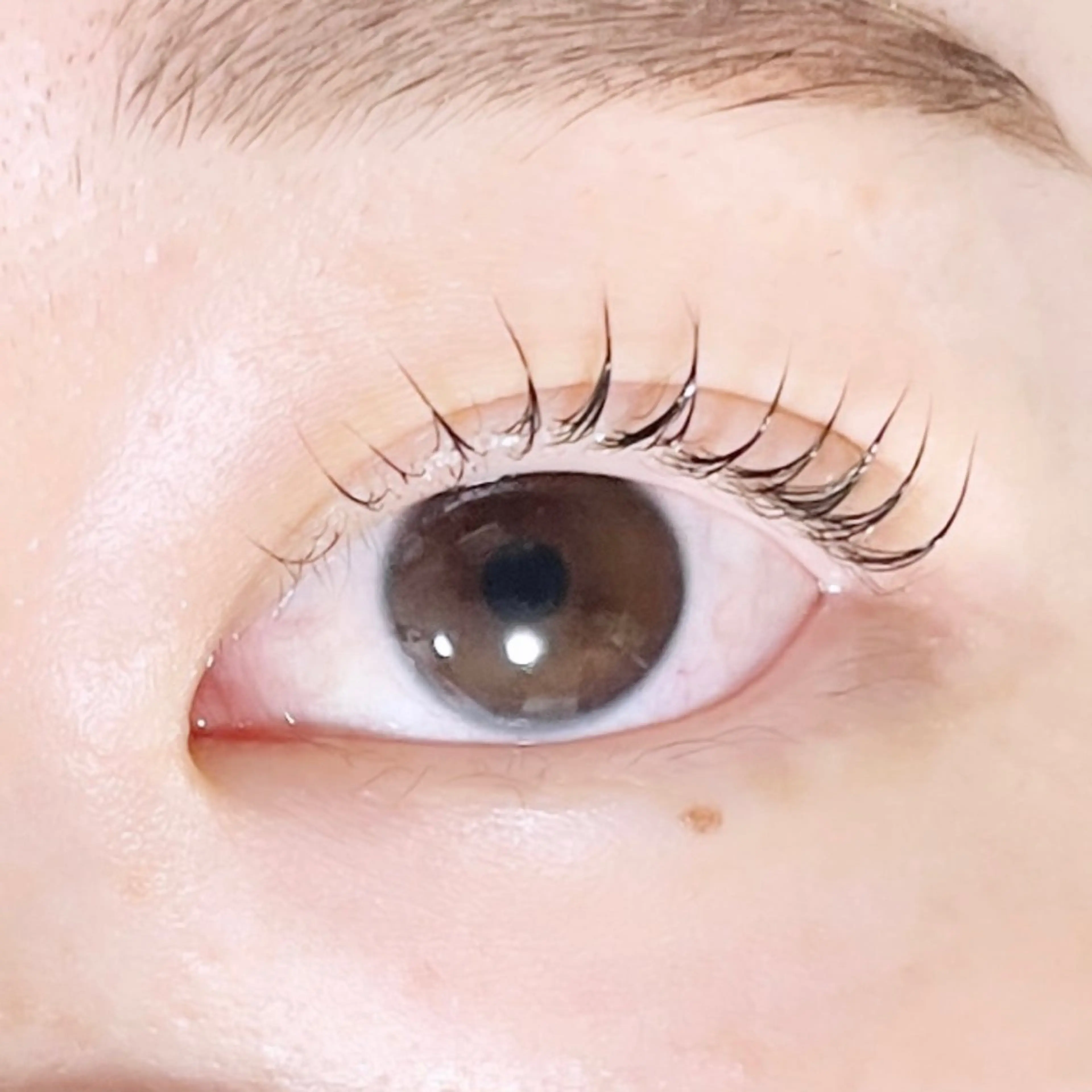 マツエク・マツパ TAKEO🖤 マリーテレジア藤が丘のマツエク・マツパデザイン