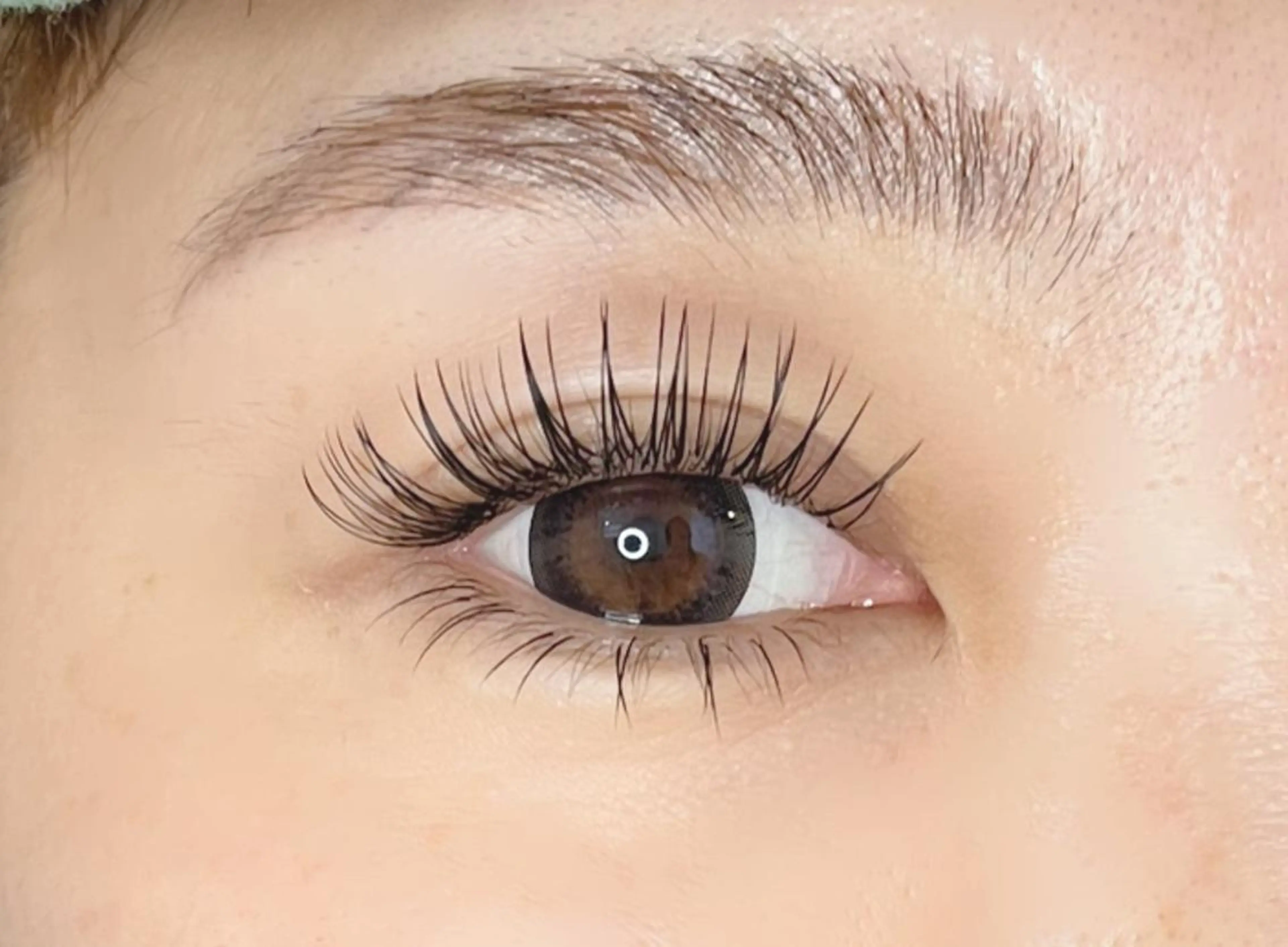 マツエク・マツパ アイブロウ まつげパーマ マツパ 《eyelash ｉｉｔｅ》森のマツエク・マツパデザイン