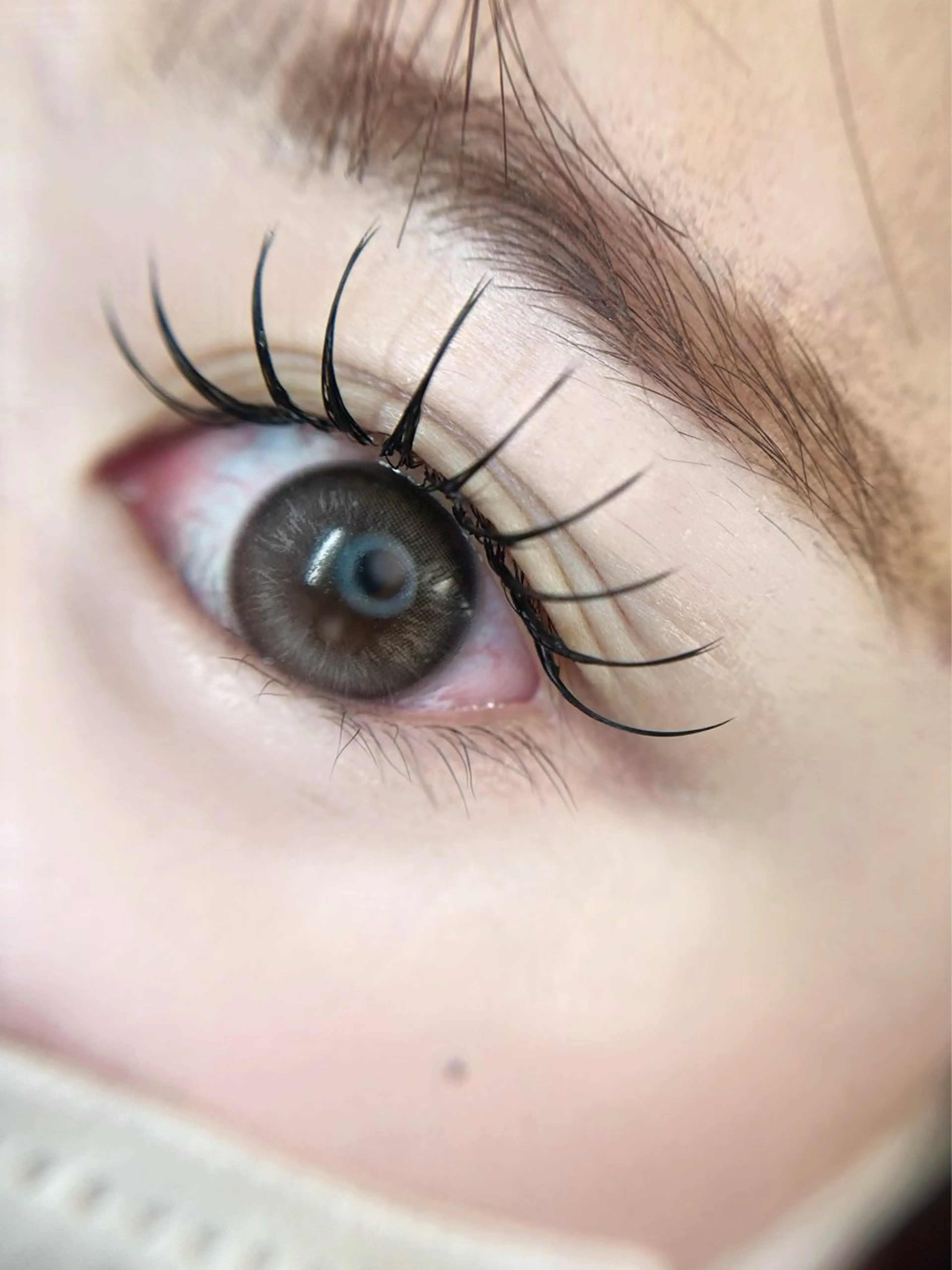 マツエク・マツパ マツエク eyelist. mizuki🐈⬛の眉毛・アイブロウイメージ