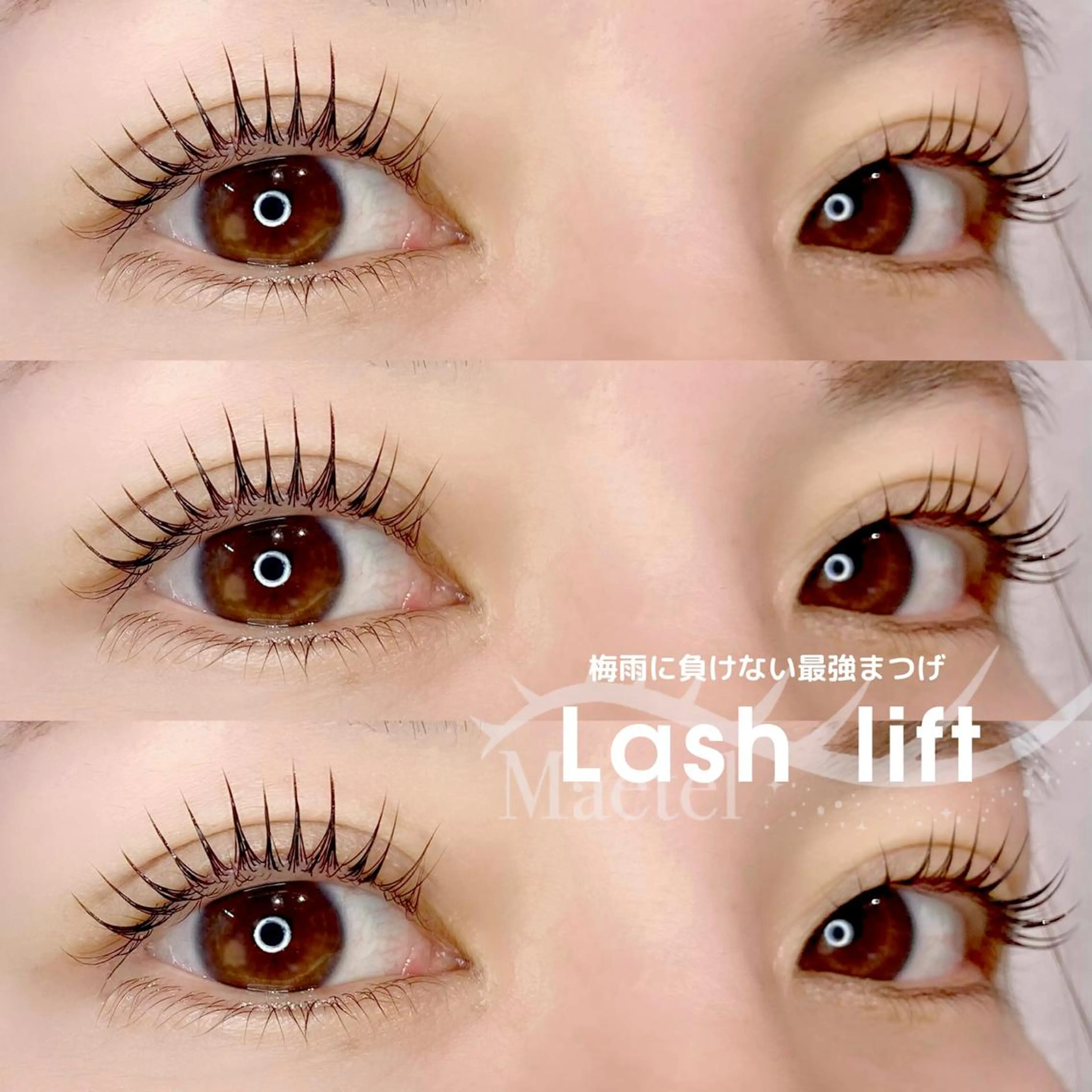 ãããšã¯ã»ããã ããã ðððéð ððððã®ãããšã¯ã»ããããã¶ã€ã³