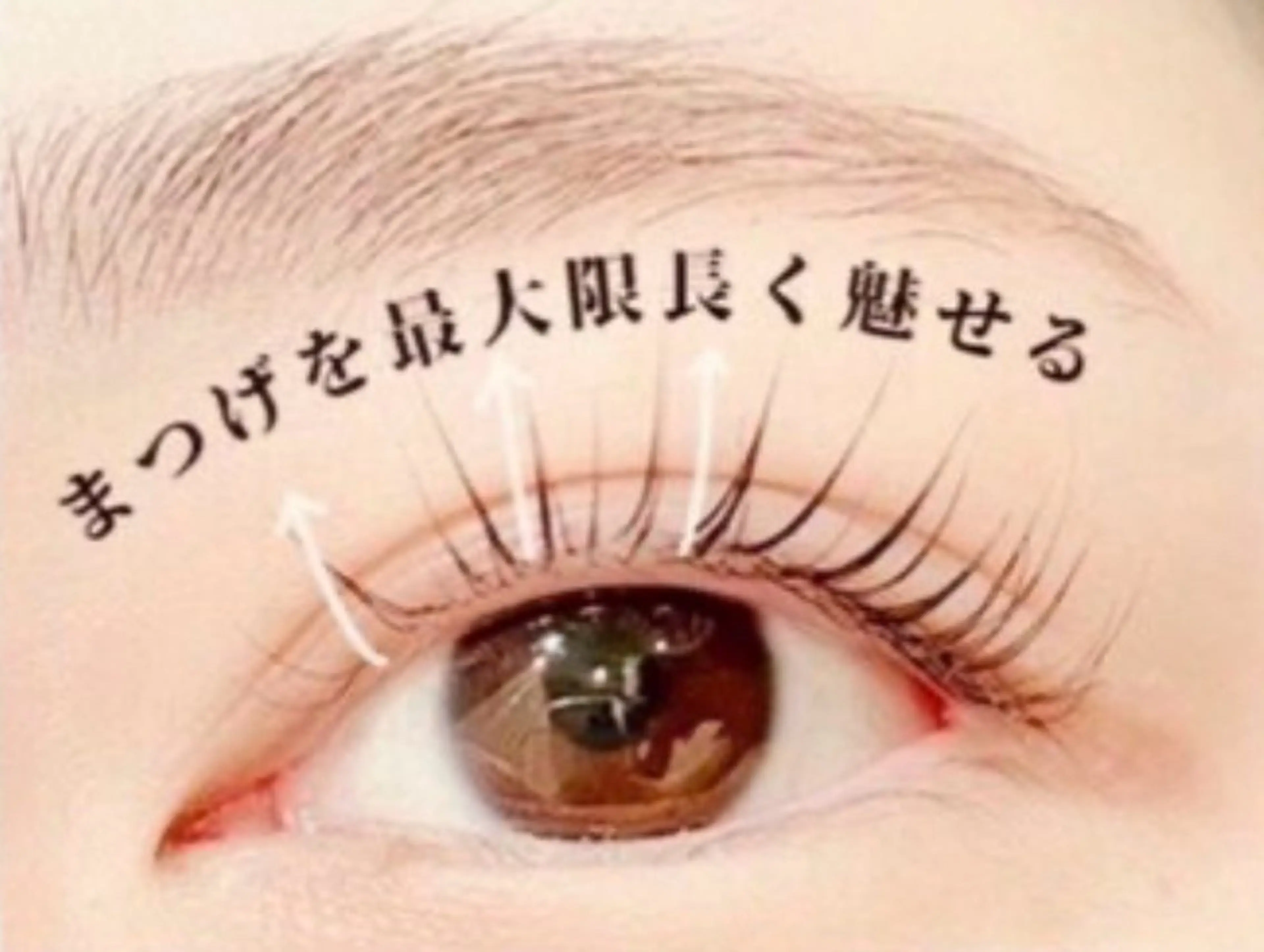 🌿《Open限定価格》パリジェンヌ🌿（コーティング付き）の写真