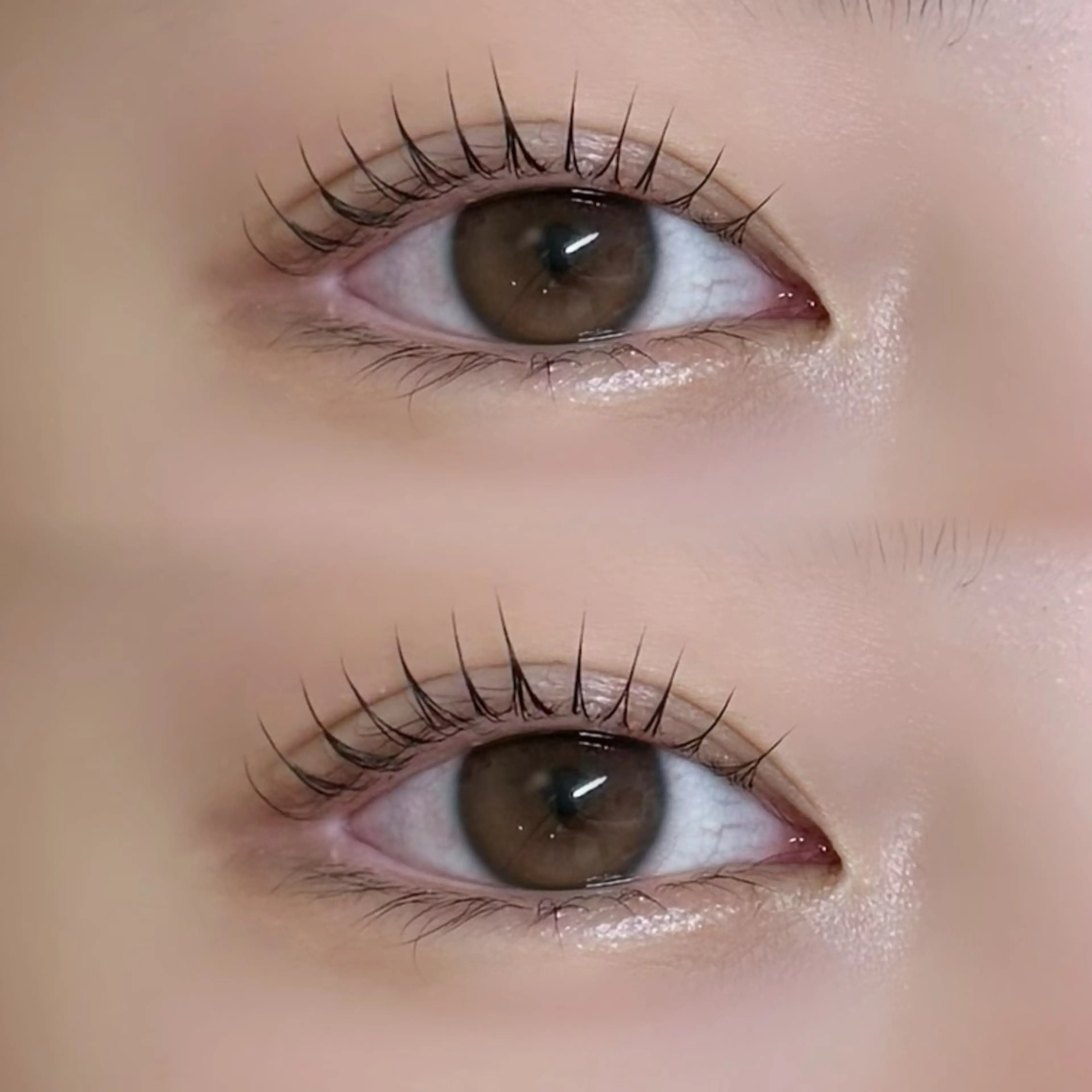 マツエク・マツパ パリジェンヌラッシュリフト マツパ Lunella RENAのマツエク・マツパデザイン