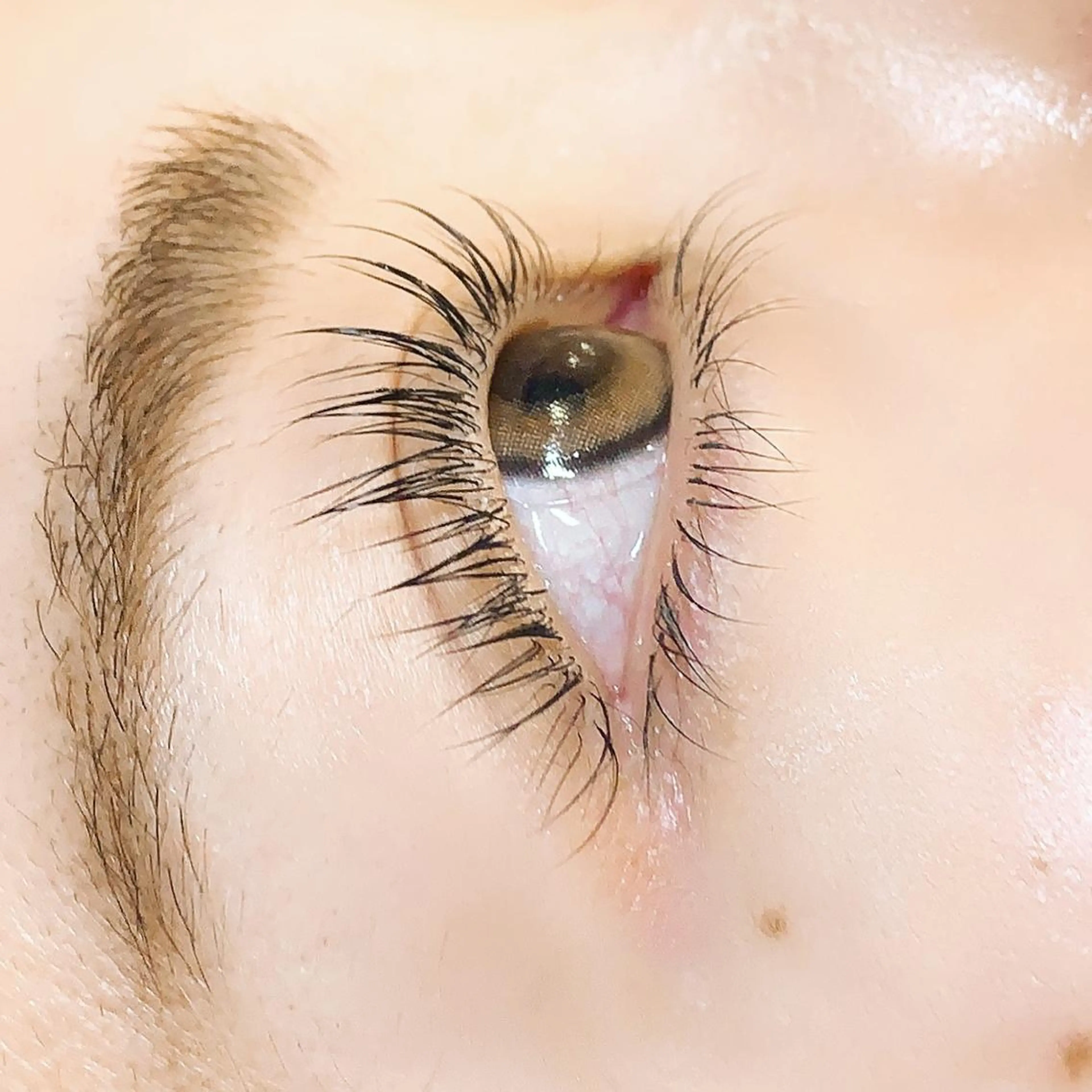 マツエク・マツパ フラットラッシュ パリジェンヌラッシュリフト OLIVIA EBISU松村 代表のマツエク・マツパデザイン