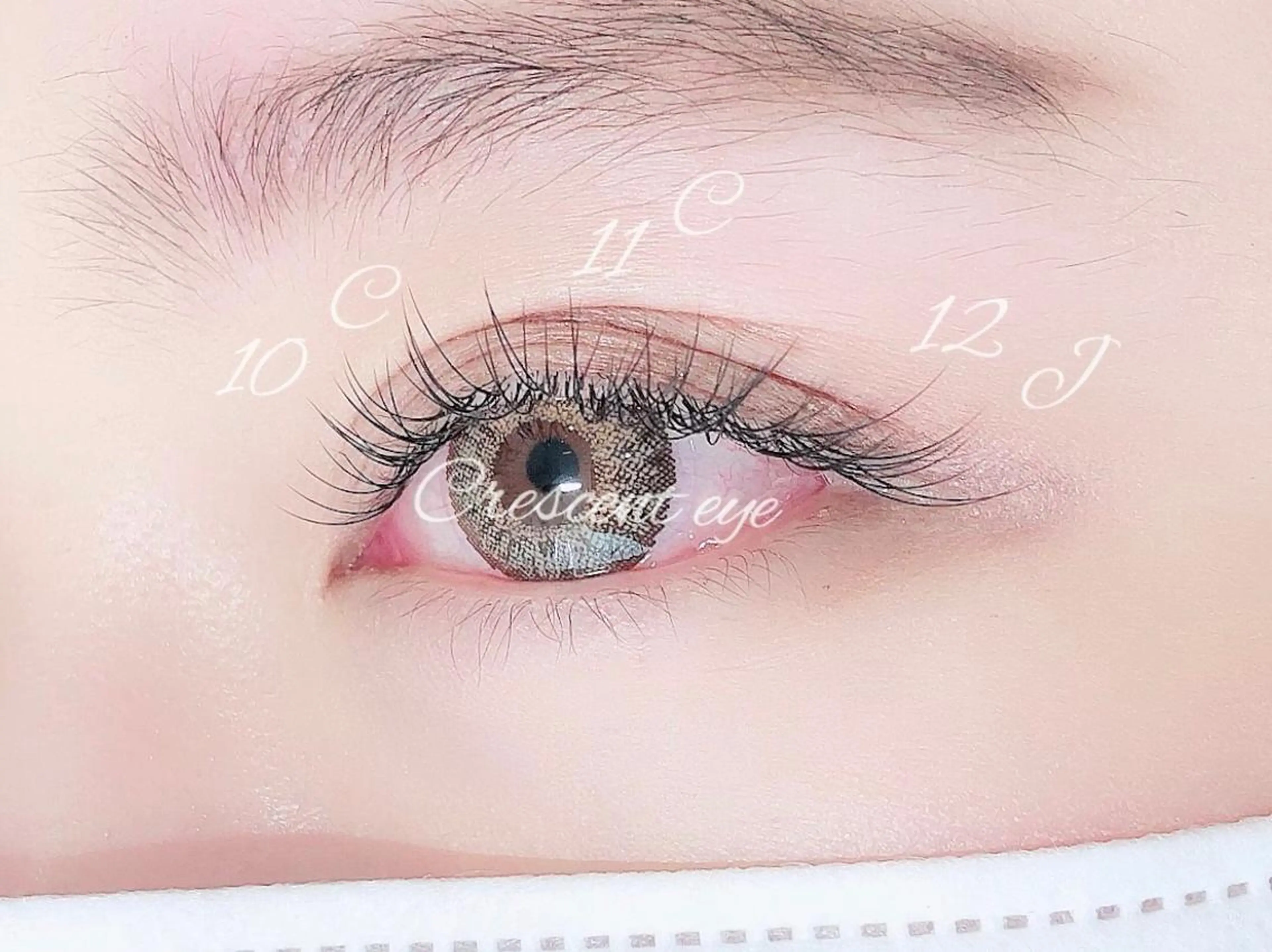 マツエク・マツパ セーブル セクシー マツエク ponopipi 小倉店のマツエク・マツパデザイン