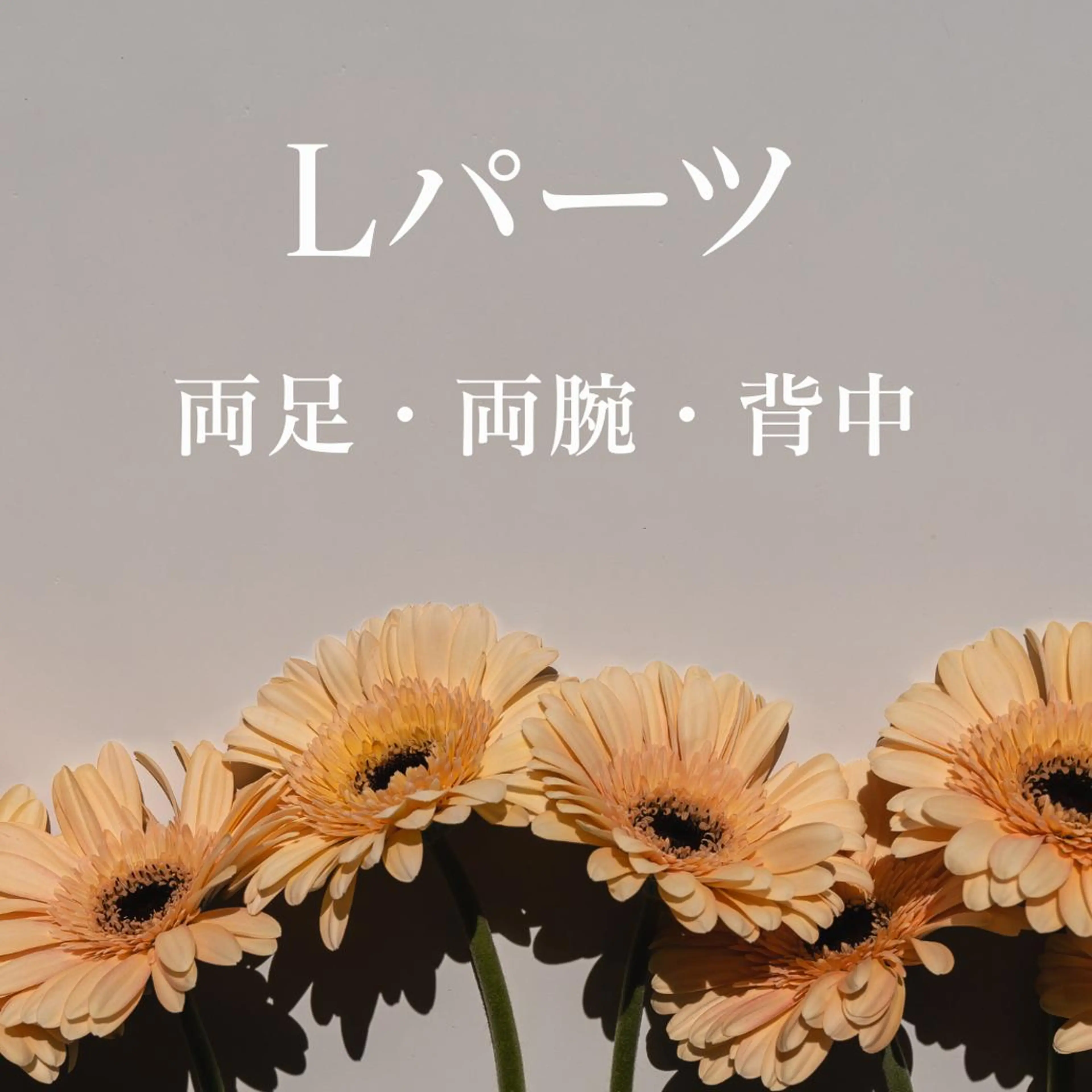 【破格に脱毛💣】Lパーツ/選べるパーツ脱毛☆何箇所でも可能◎ ※女性限定の写真