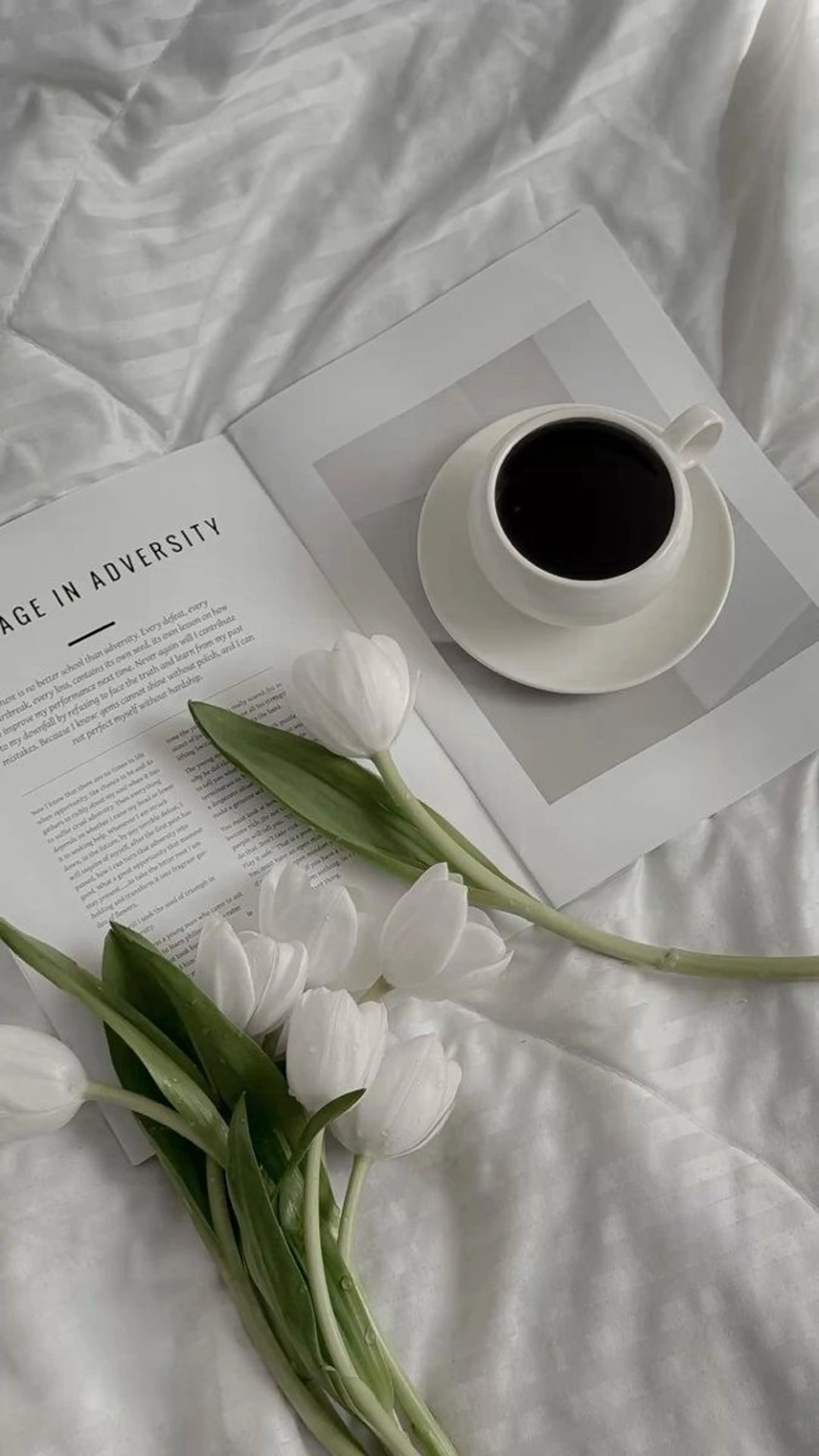 SSINSTUDIO 野口の眉毛・アイブロウイメージ