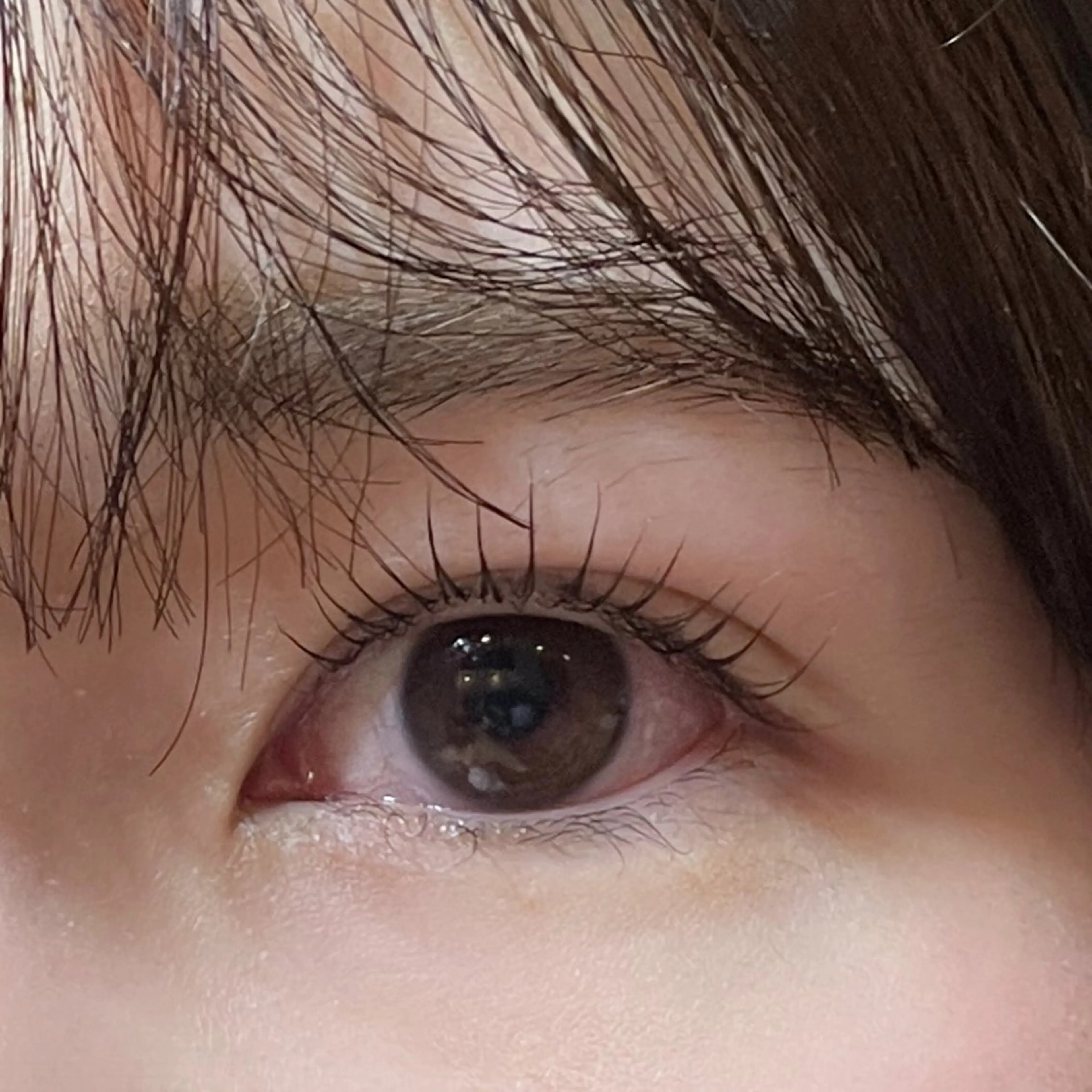 マツエク・マツパ パリジェンヌラッシュリフト 🩶re,eye _yuina 🩶のマツエク・マツパデザイン