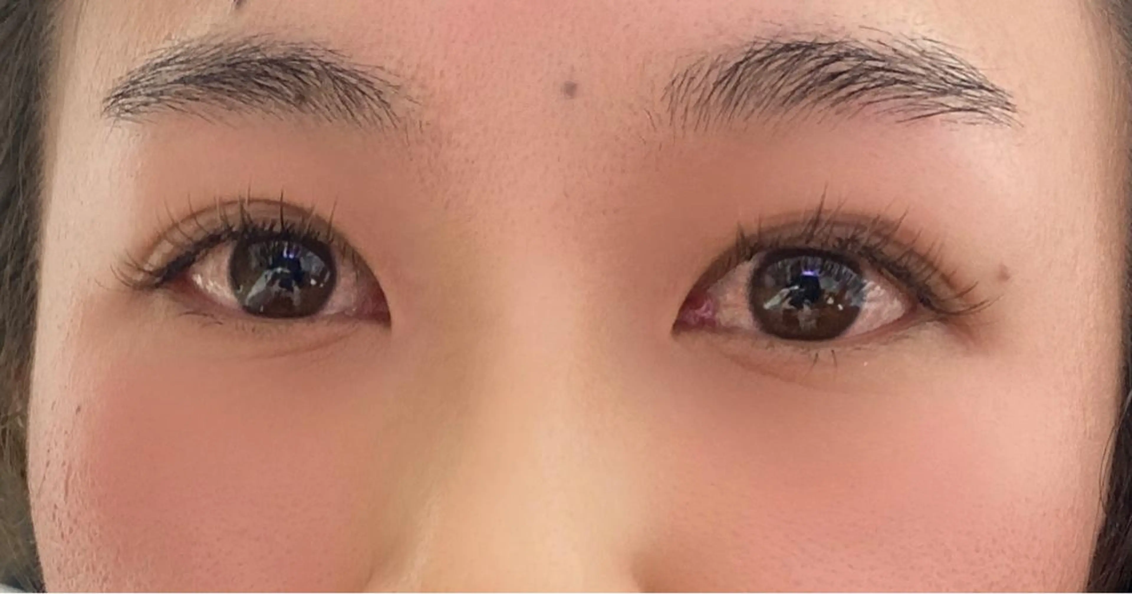 マツエク・マツパ ブラウンラッシュ カラーマツエク Mrmt Azsの眉毛・アイブロウイメージ