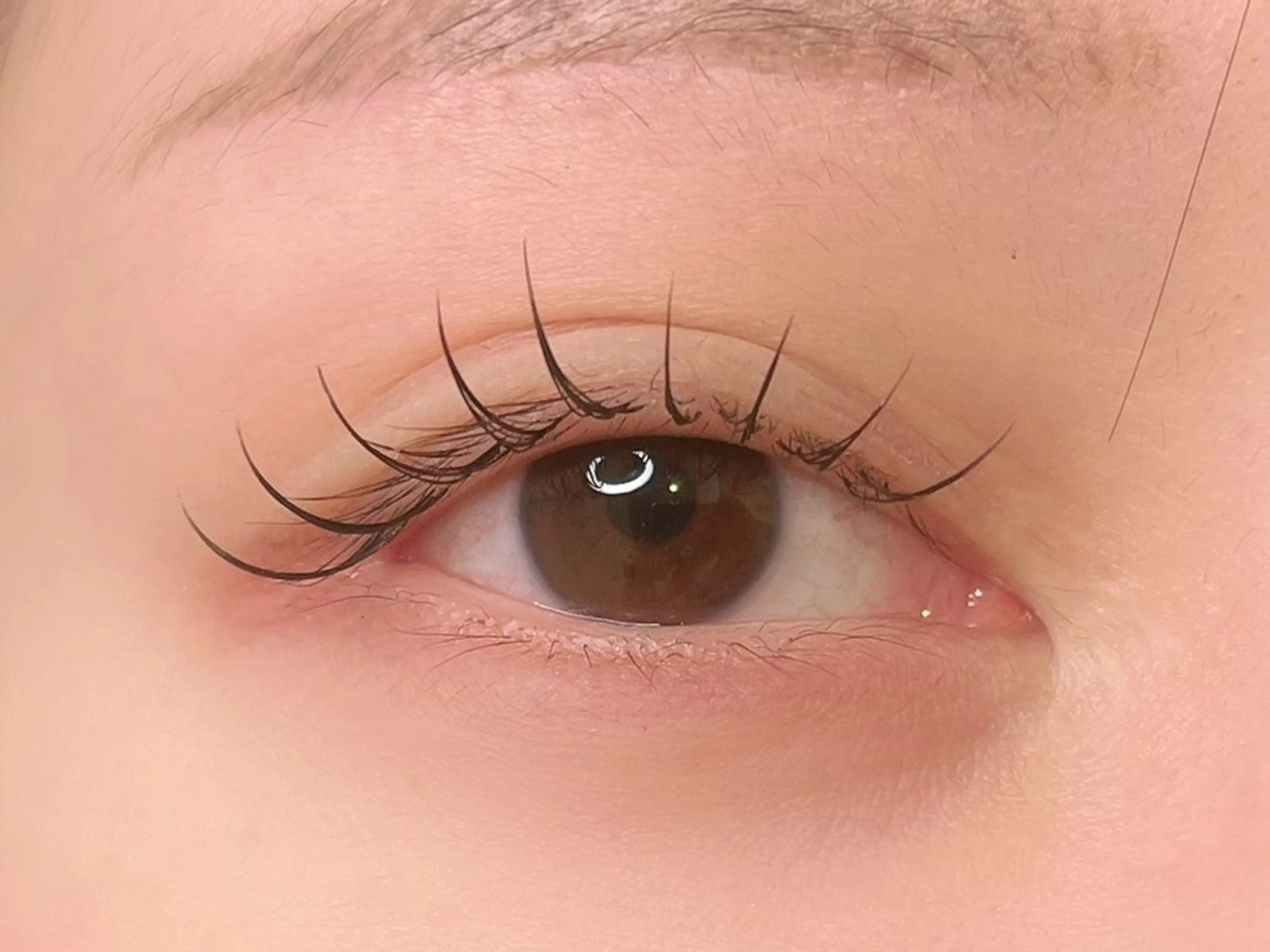 フラットラッシュ 80本【オフ無】の写真