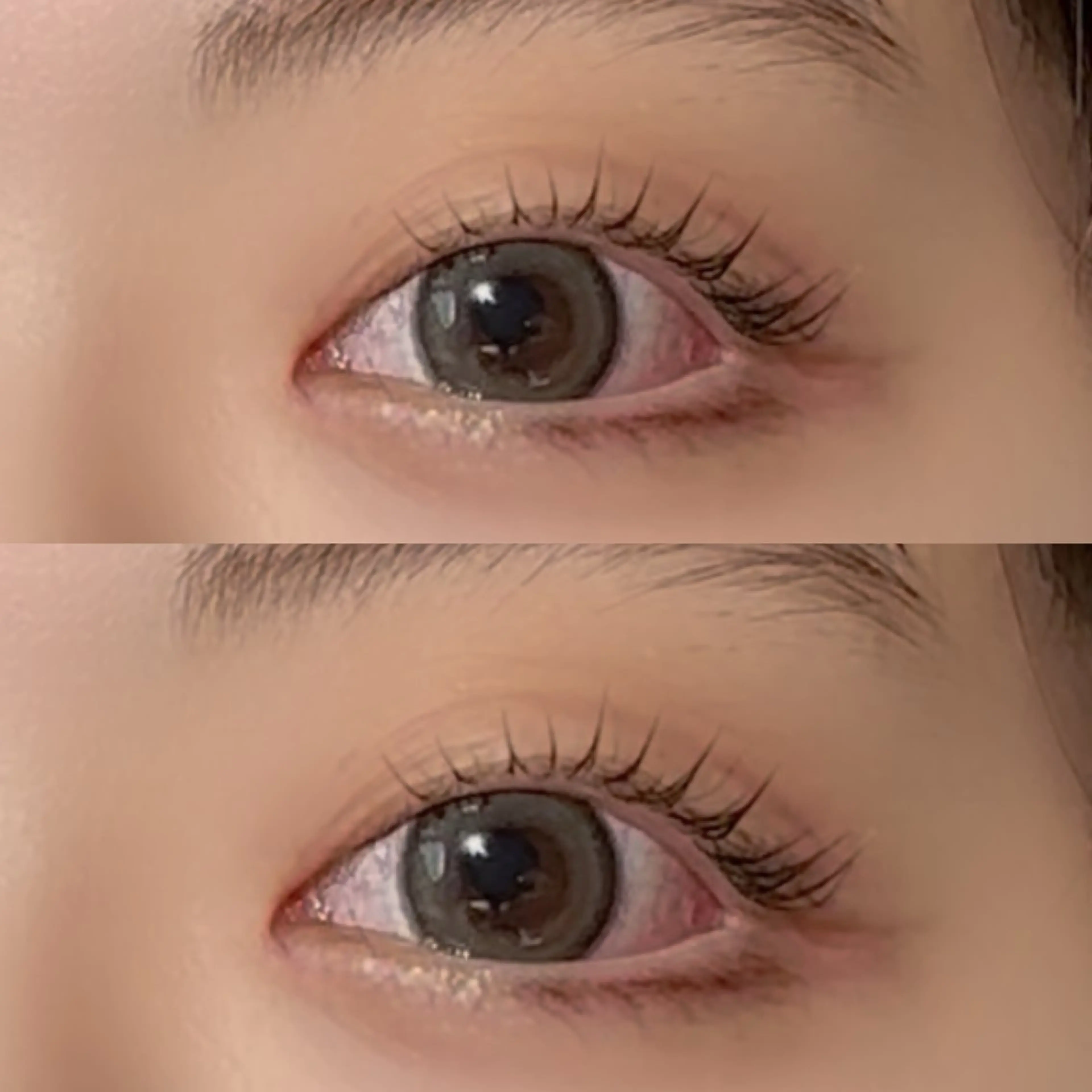 【1名限定価格】パリジェンヌラッシュリフト👀の写真