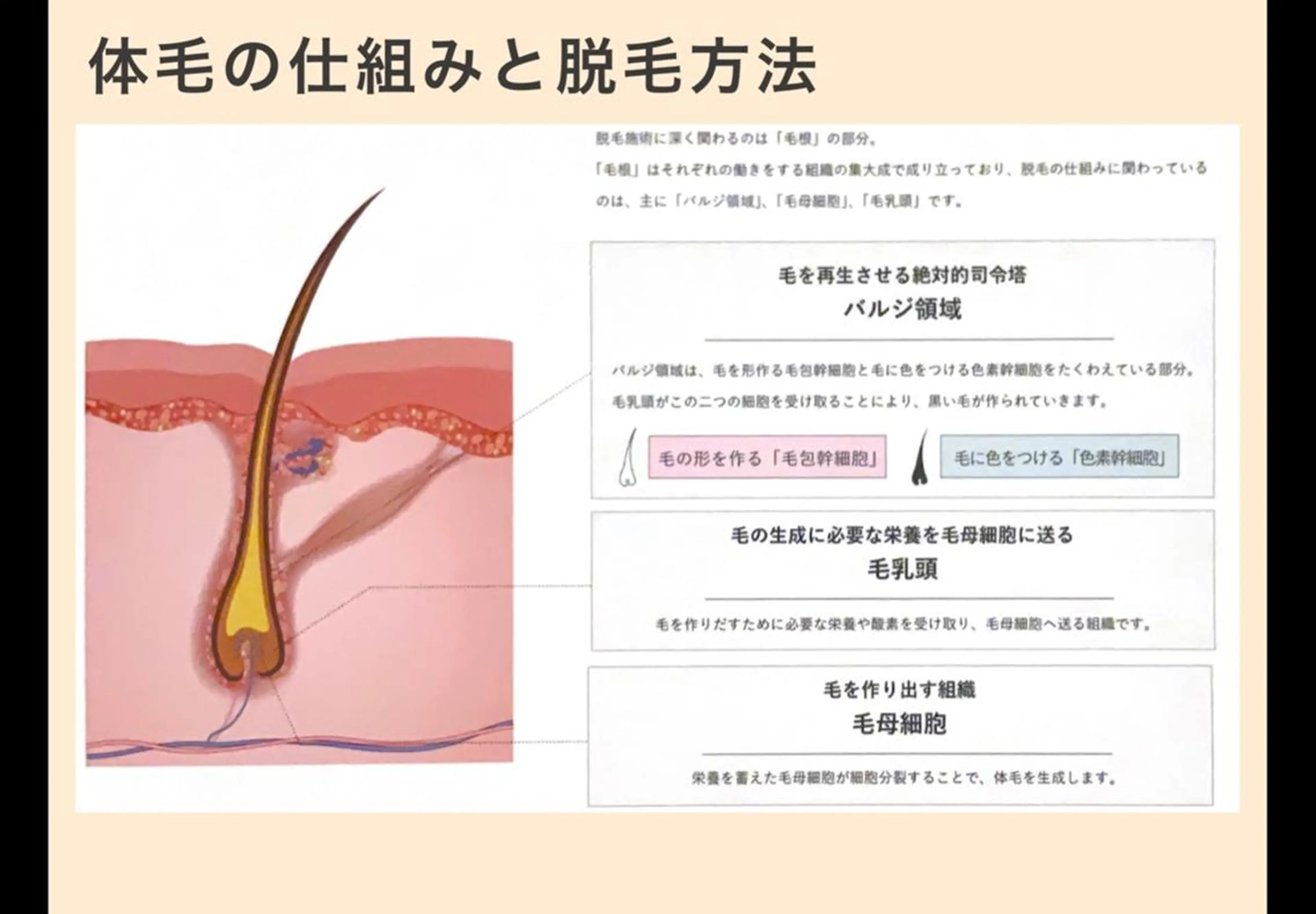 20代から始める脱毛 salonLEPIAのエステ・リラクイメージ