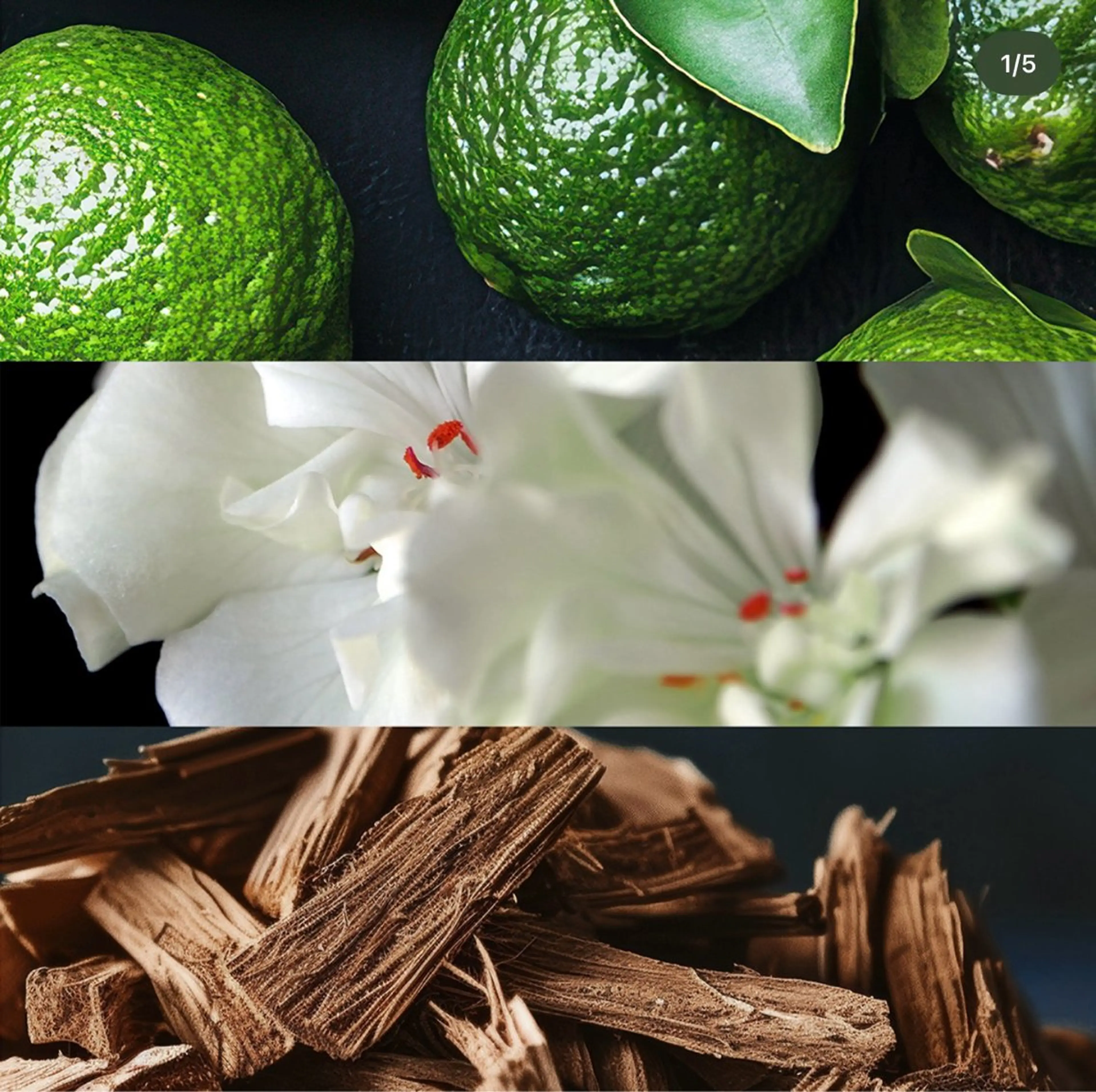 多治見店POLA 大島のエステ・リラクイメージ