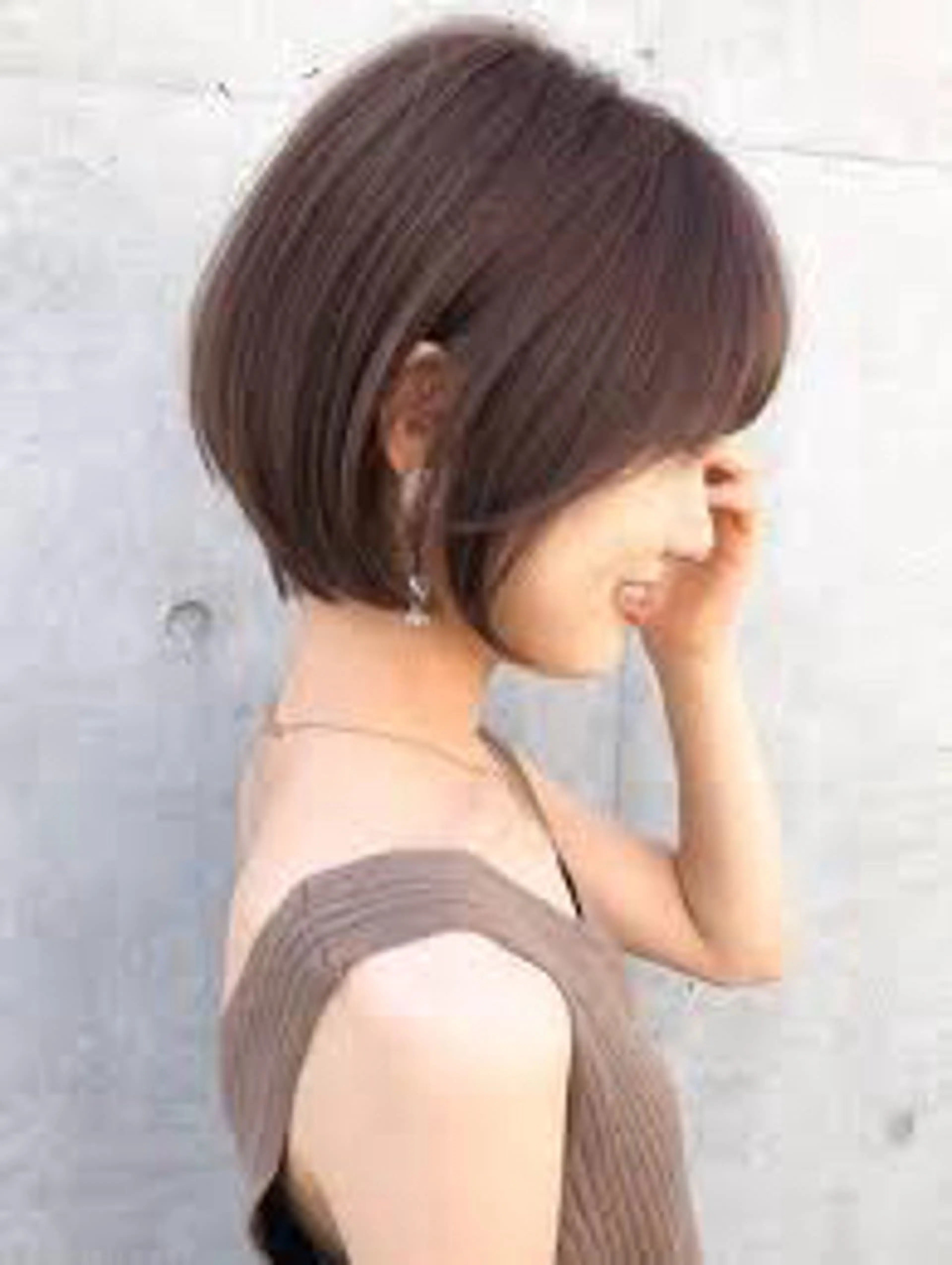 カラーの写真