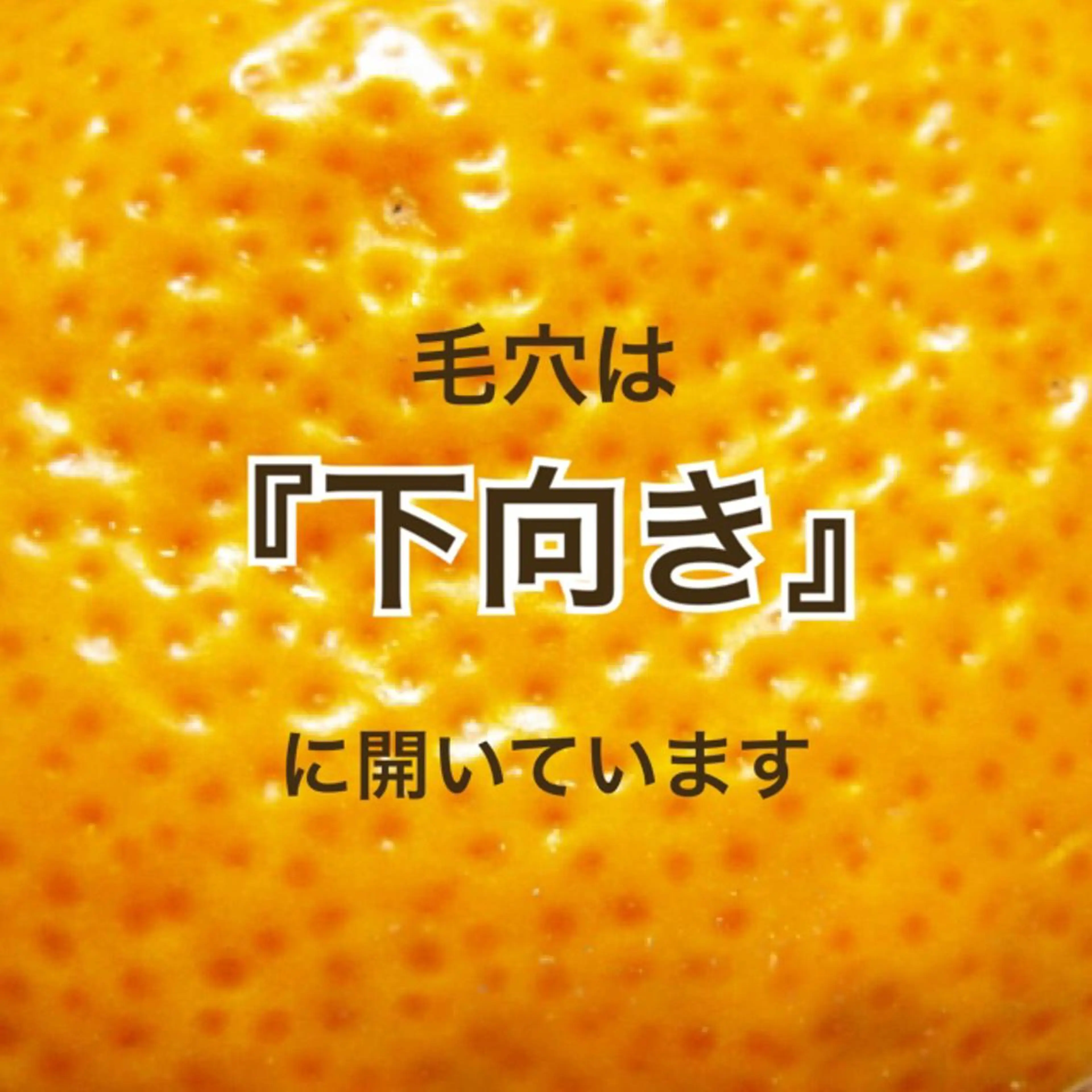 都度払い肌質改善 &脱毛Blancheのエステ・リラクイメージ