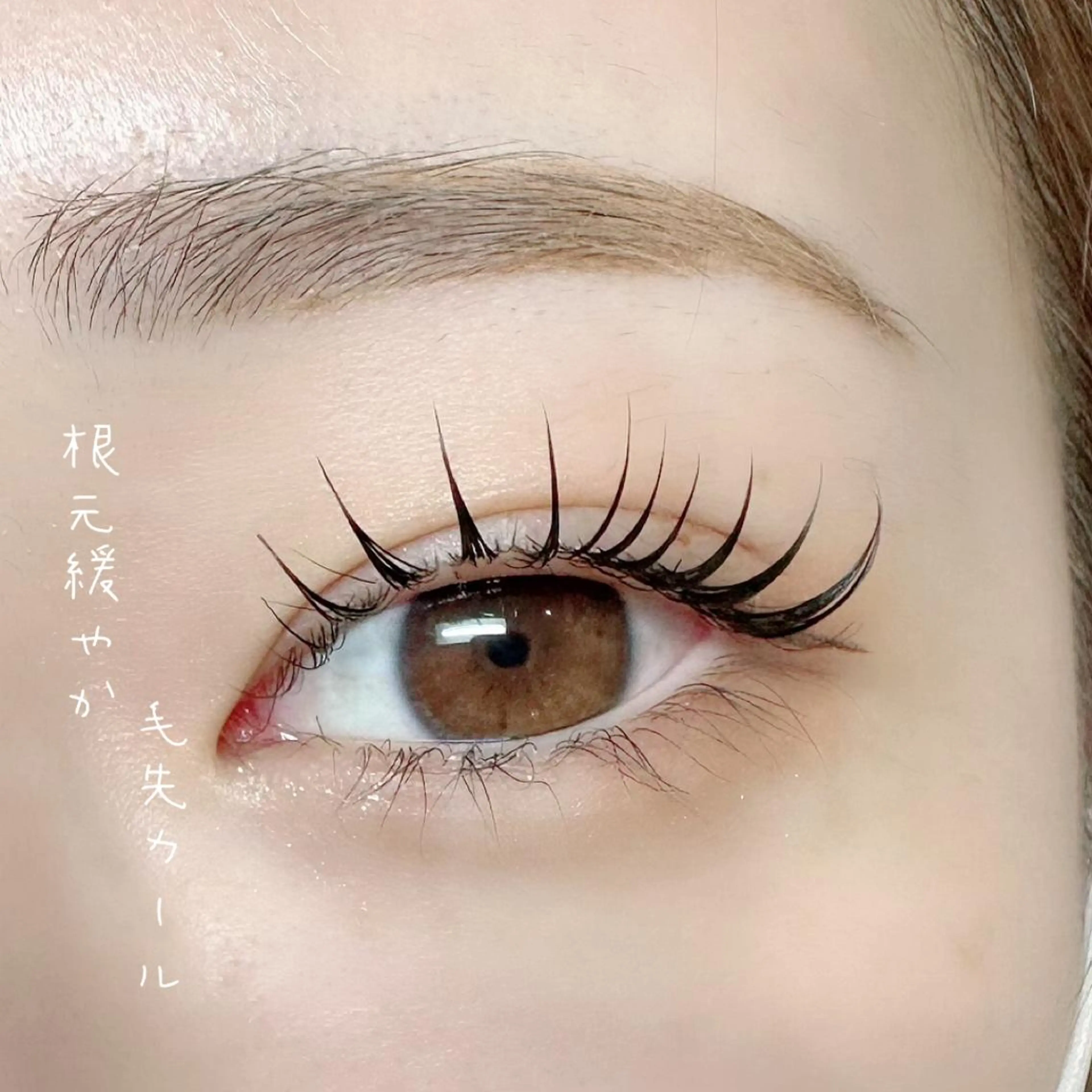 マツエク・マツパ アイブロウ マツパ 池袋駅韓国風🇰🇷 束感💗Tomoのマツエク・マツパデザイン