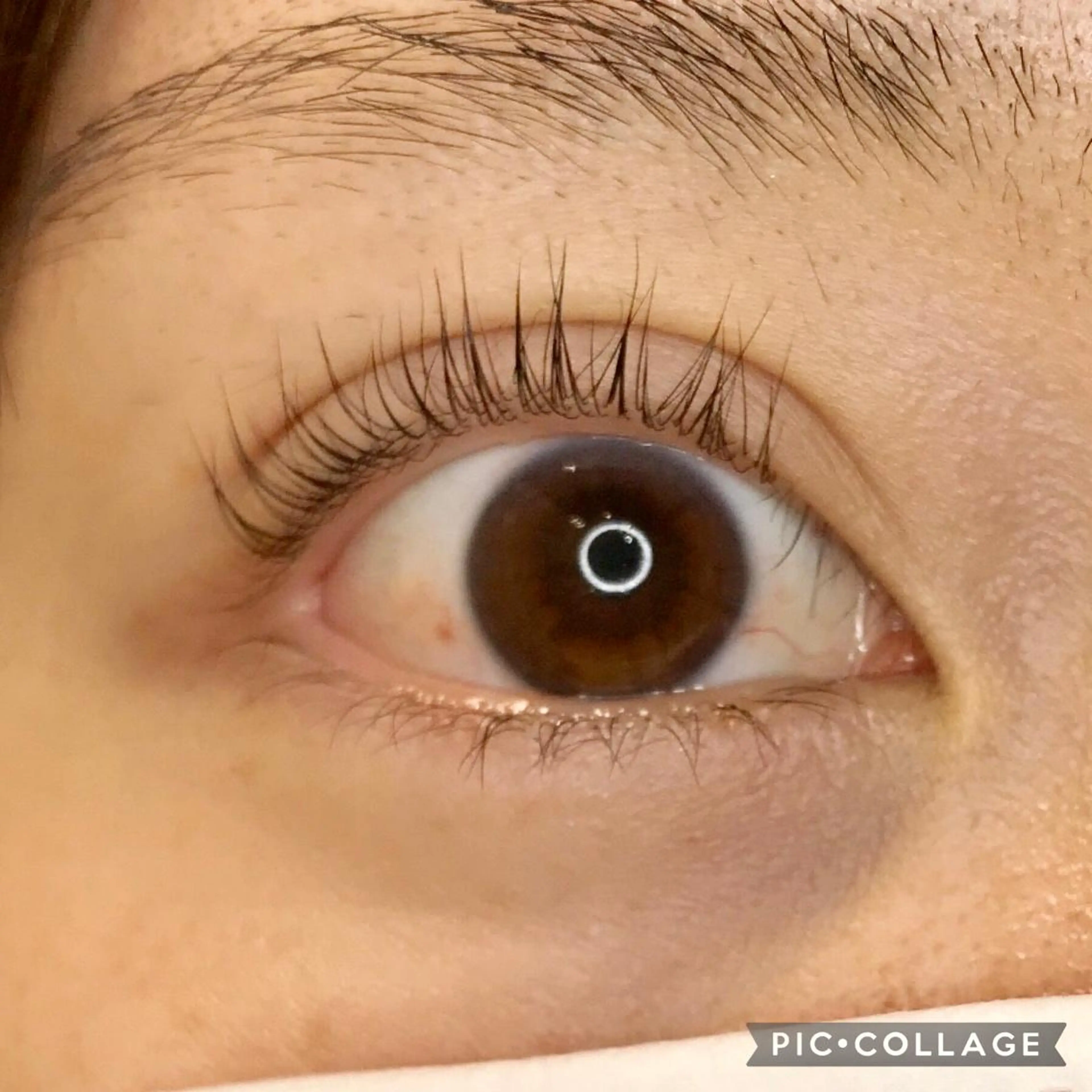 マツエク・マツパ マツパ 《eyelash ｉｉｔｅ》森のマツエク・マツパデザイン