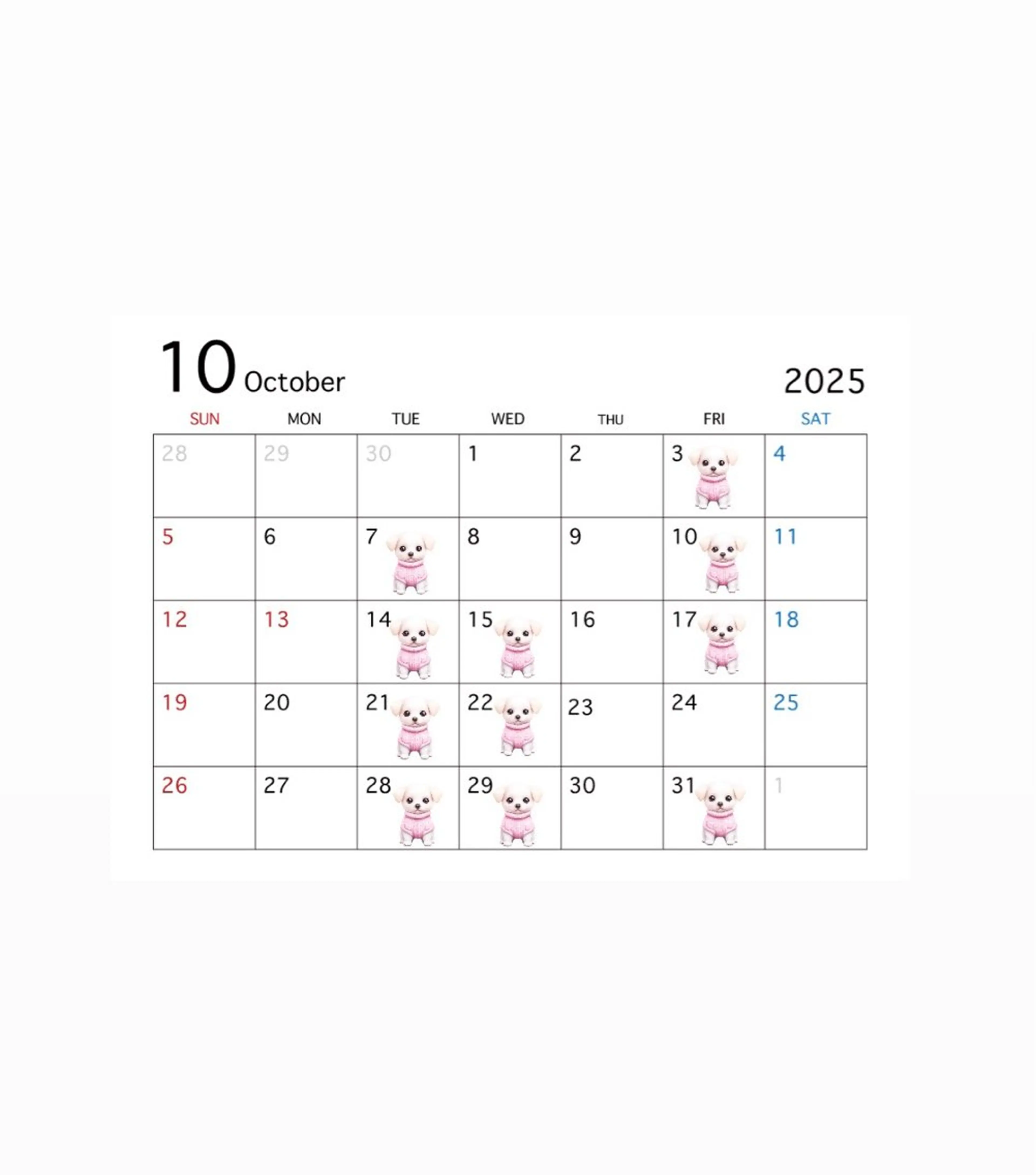 ミディアム カラー カット ヘアカラー MIREI /韓国風 /大阪美容室のヘアスタイル