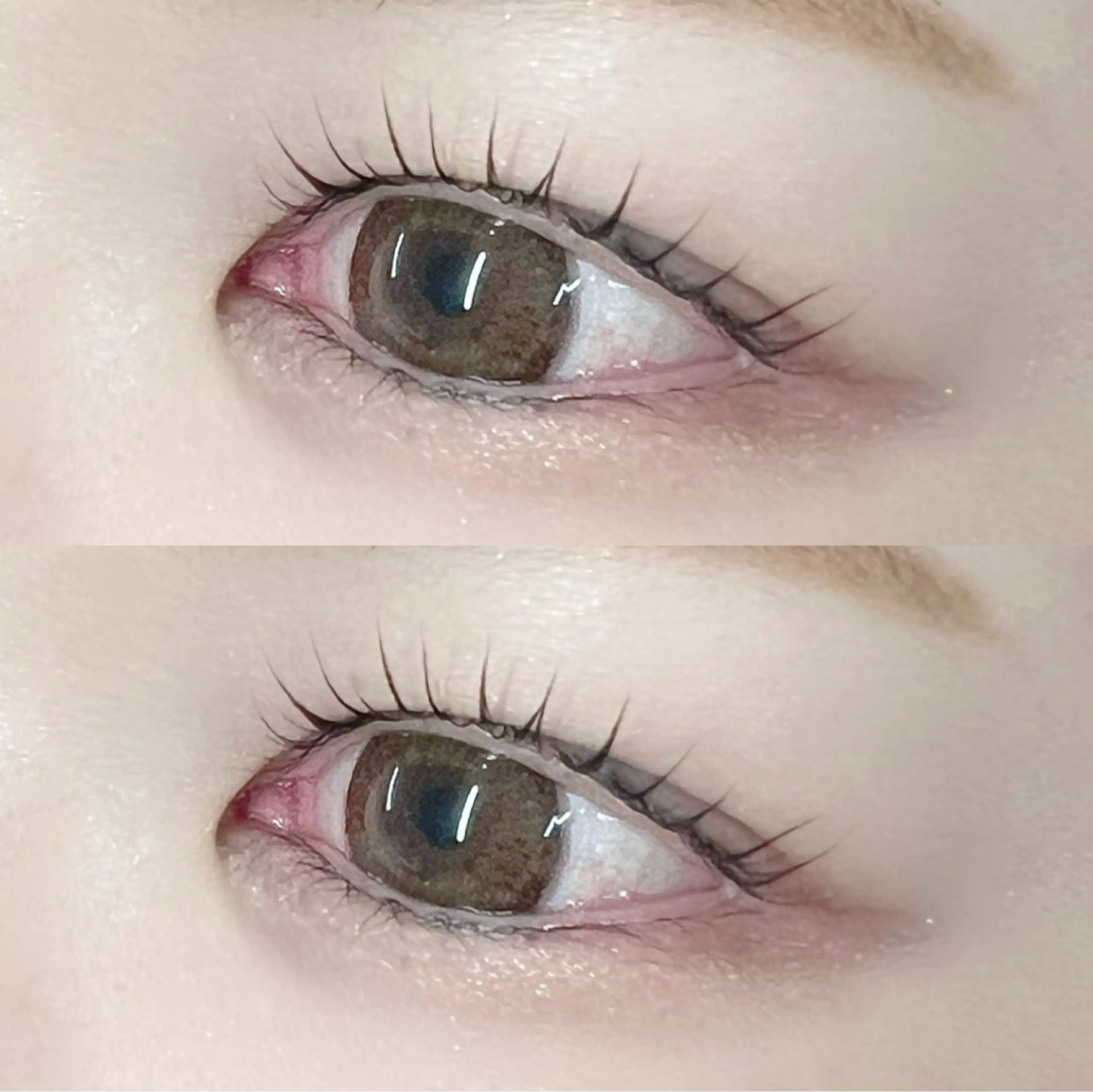 💎ラッシュリフト💎デザインラッシュリフト/パリジェンヌラッシュリフトの写真