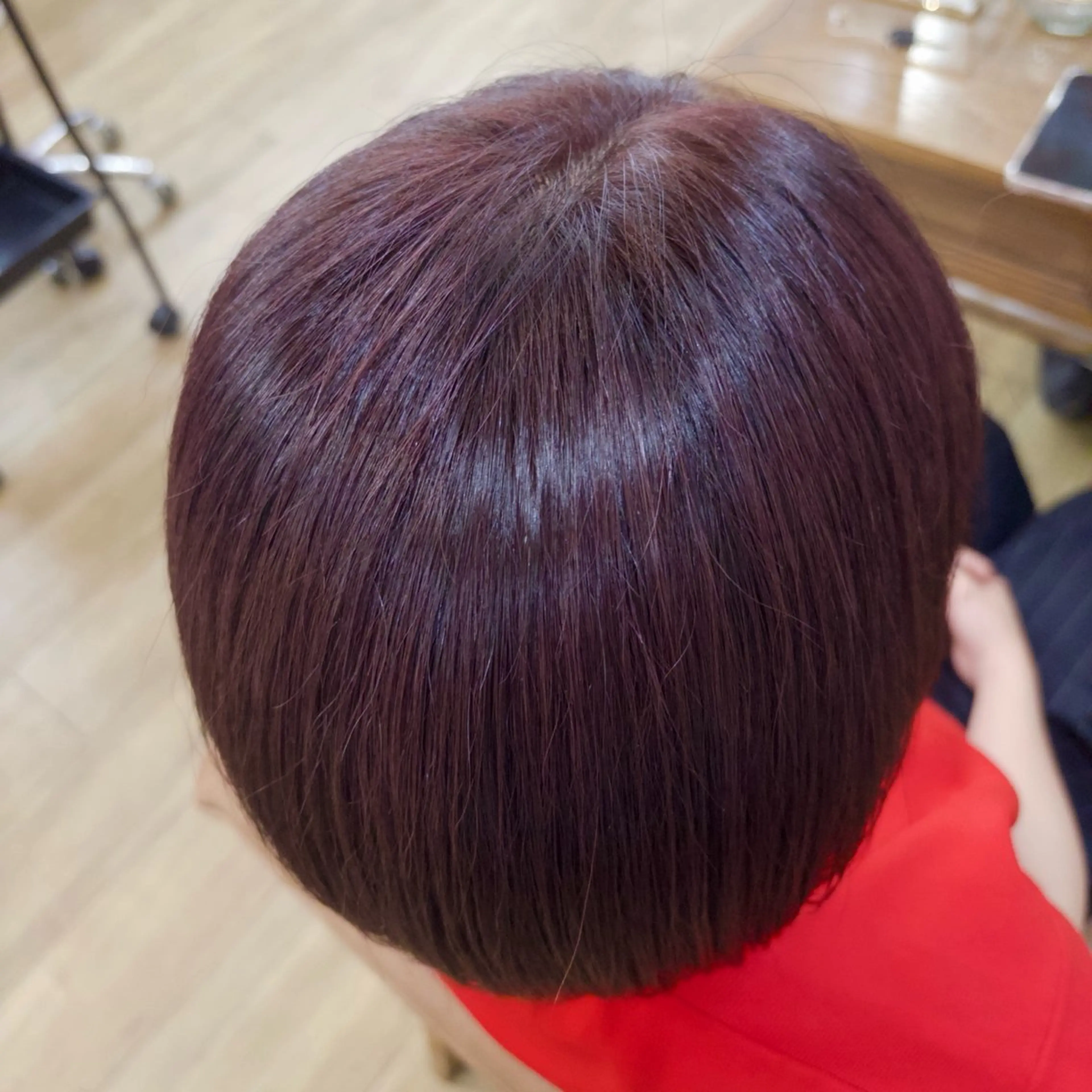 ショート カラー ヘアカラー SHO 👻原宿 /艶カラーのヘアスタイル