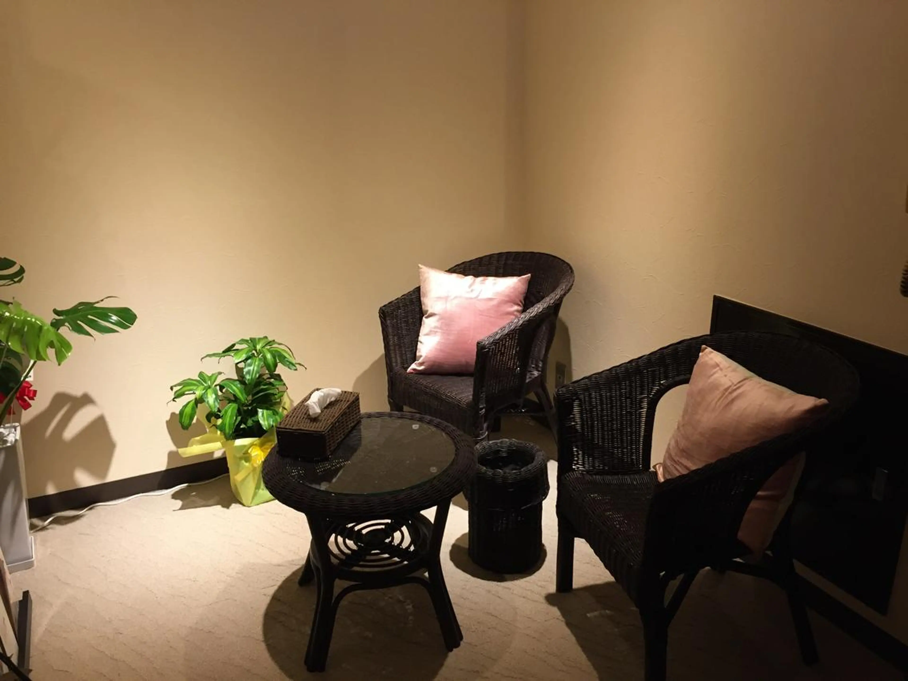 Acupuncture  salon LINOA リノア鍼灸院所属・ヘッドスパ鍼/小顔鍼 耳ツボ 　LINOAのエステ・リラクイメージ
