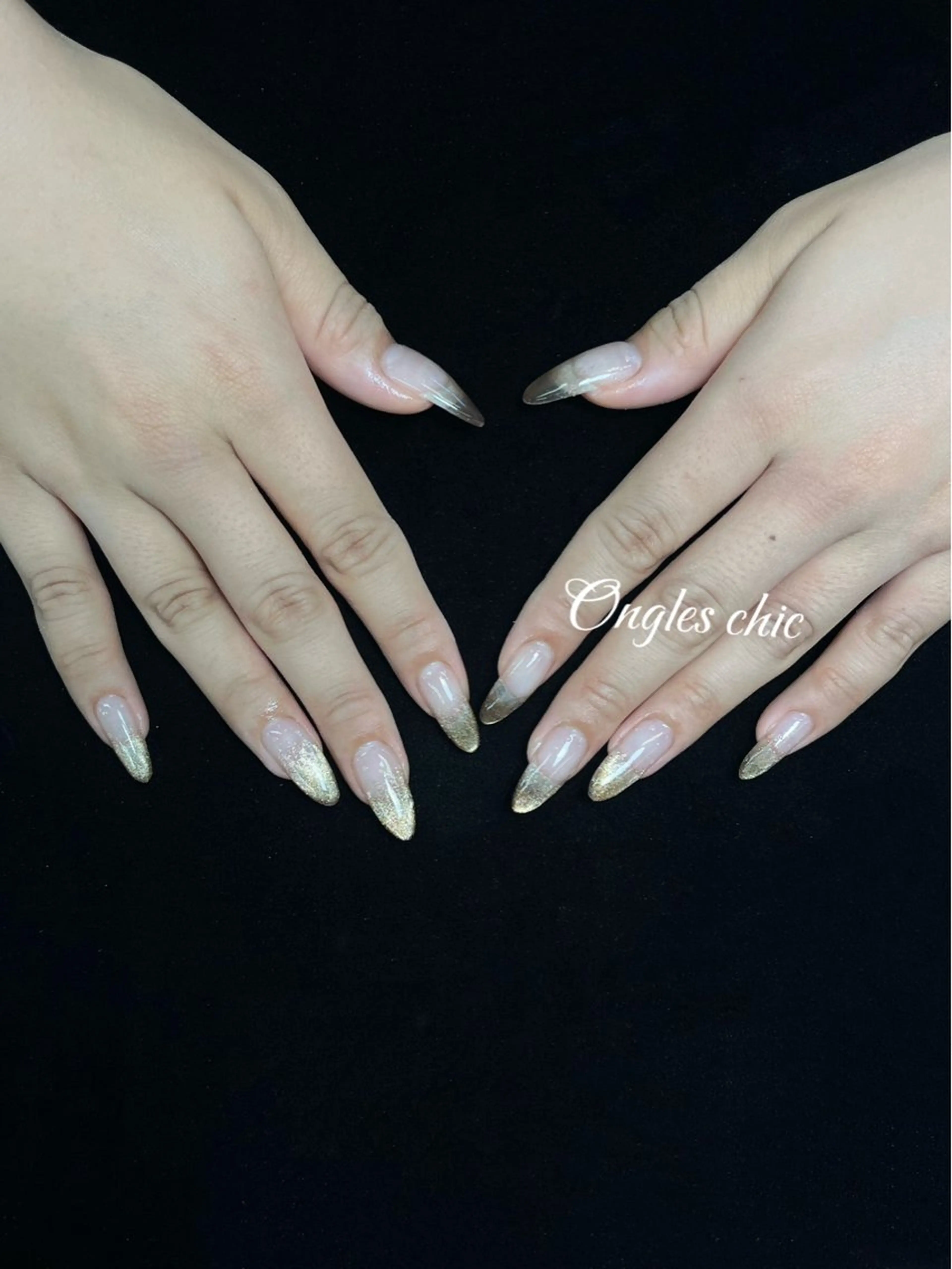 ネイル ハンドネイル ongles chicのネイルデザイン