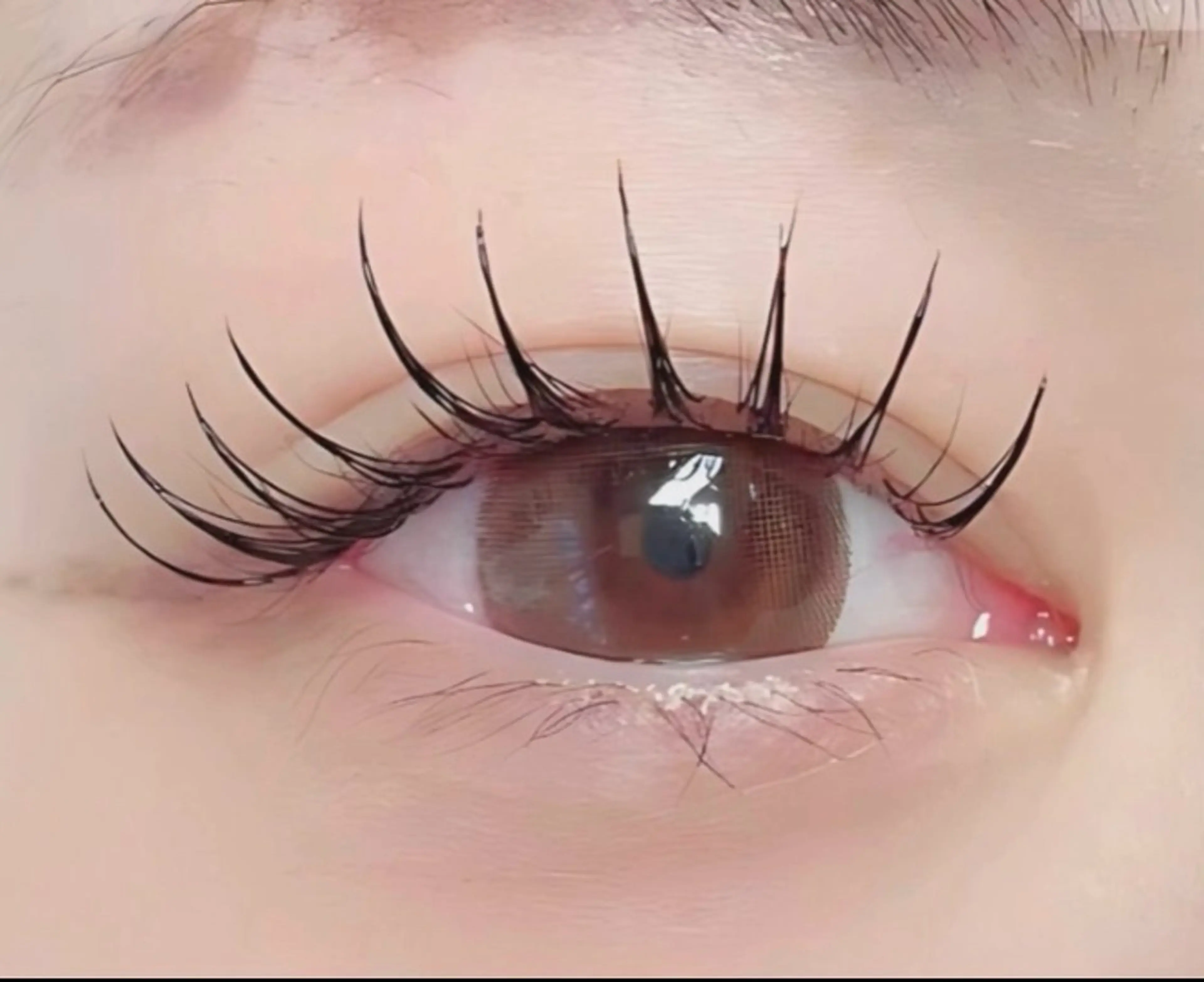 リフエク！まつ毛パーマ✖️LEDマツエクダブルフラット200本(ワンホン仕上げ)決済方法現金のみ🙏の写真